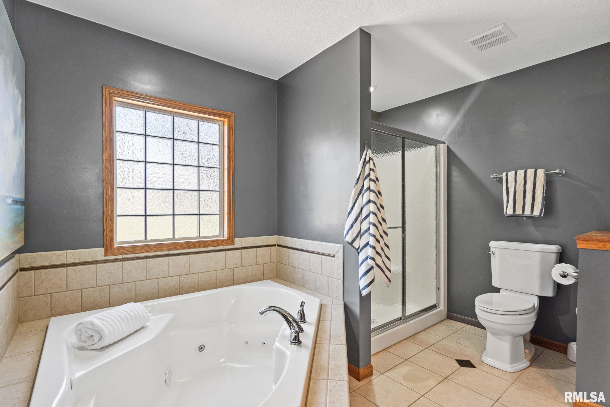 342 Heather Glen Eldridge, IA 52748 - Photo 19 of 47