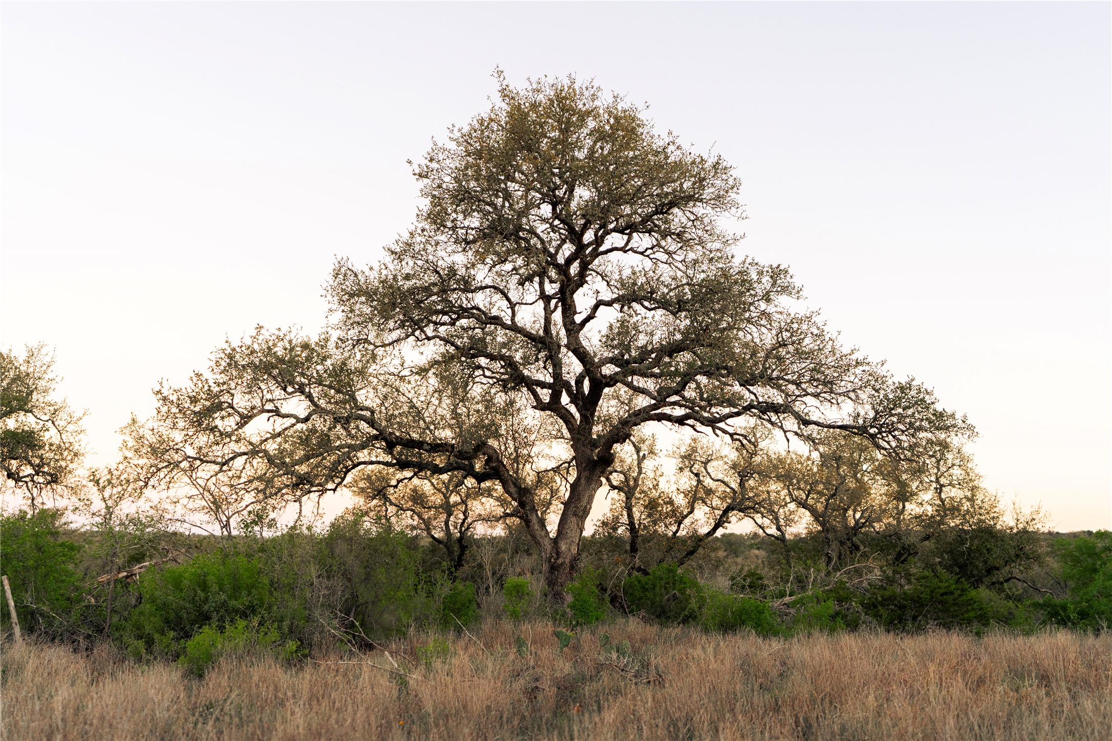 1901 Oak Grove Road San Marcos, TX 78666 - Photo 1 of 16 a view of mountain with lake view
