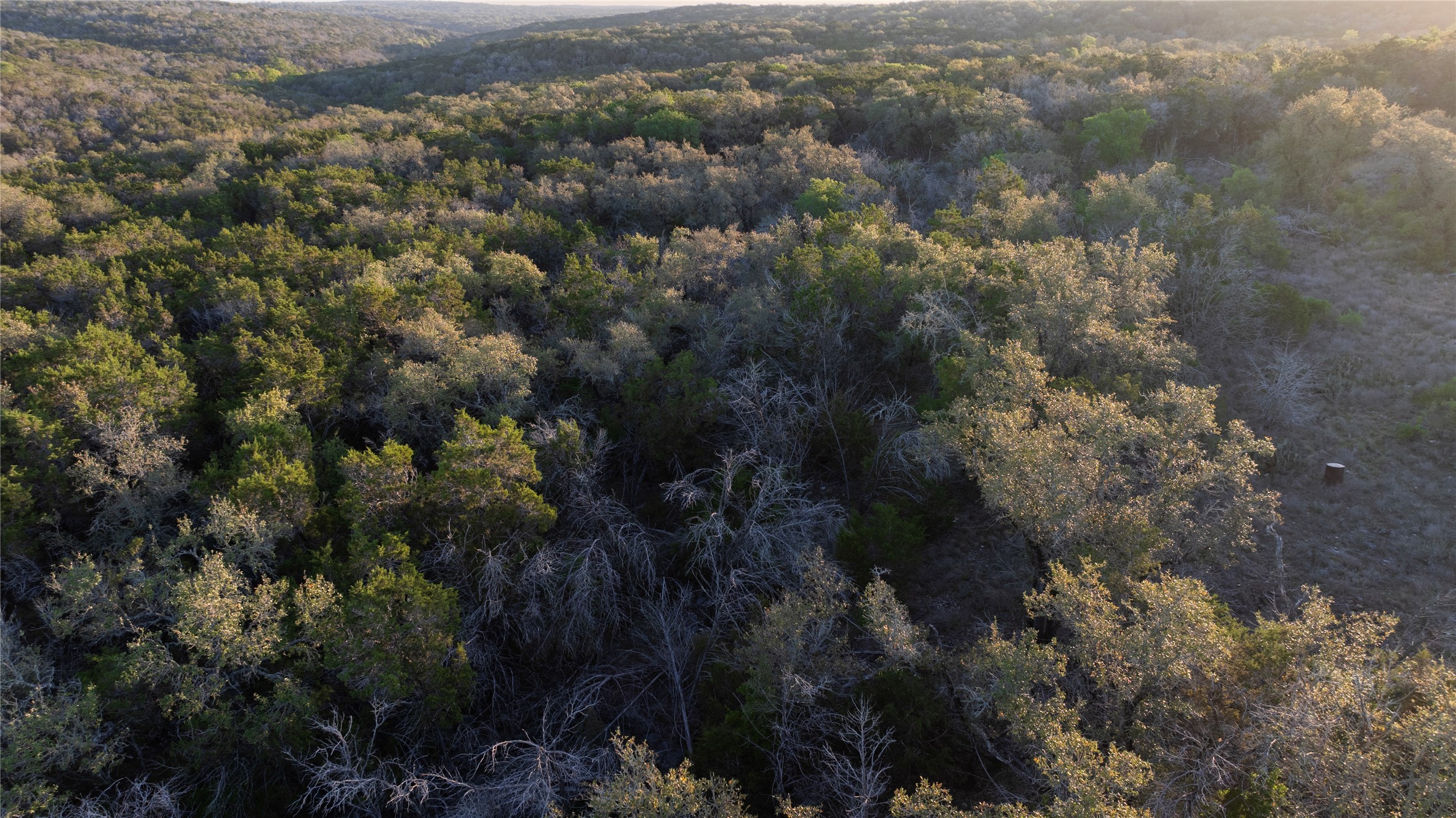 1901 Oak Grove Road San Marcos, TX 78666 - Photo 11 of 16 a view of a city