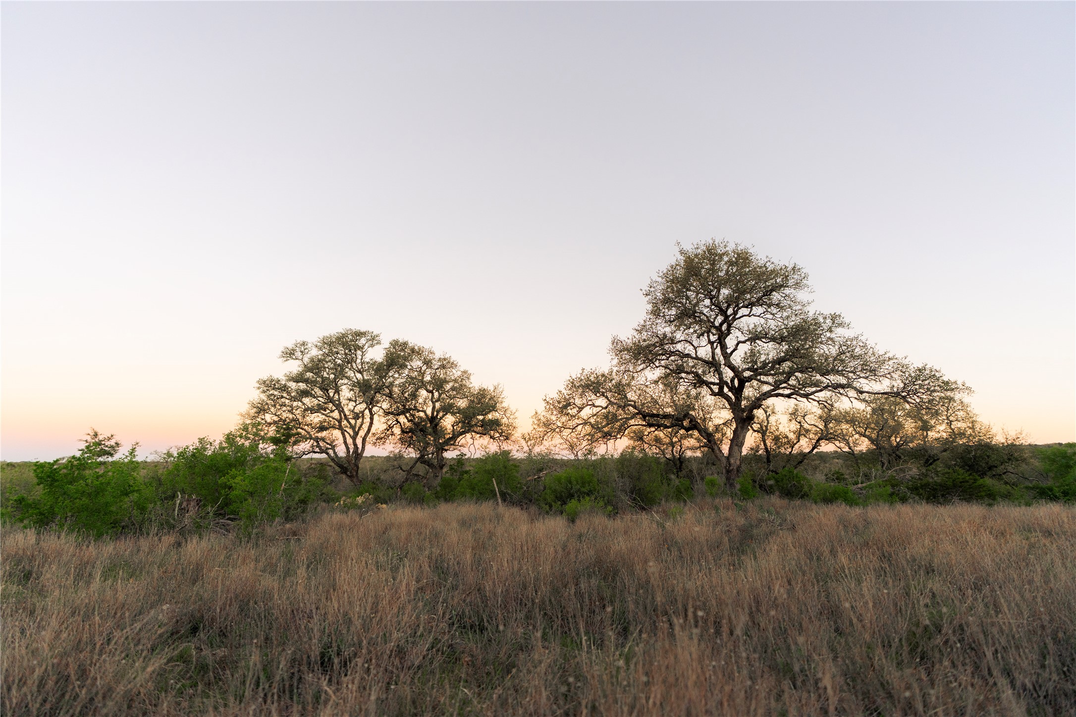 1901 Oak Grove Road San Marcos, TX 78666 - Photo 2 of 16 a view of a lush green field