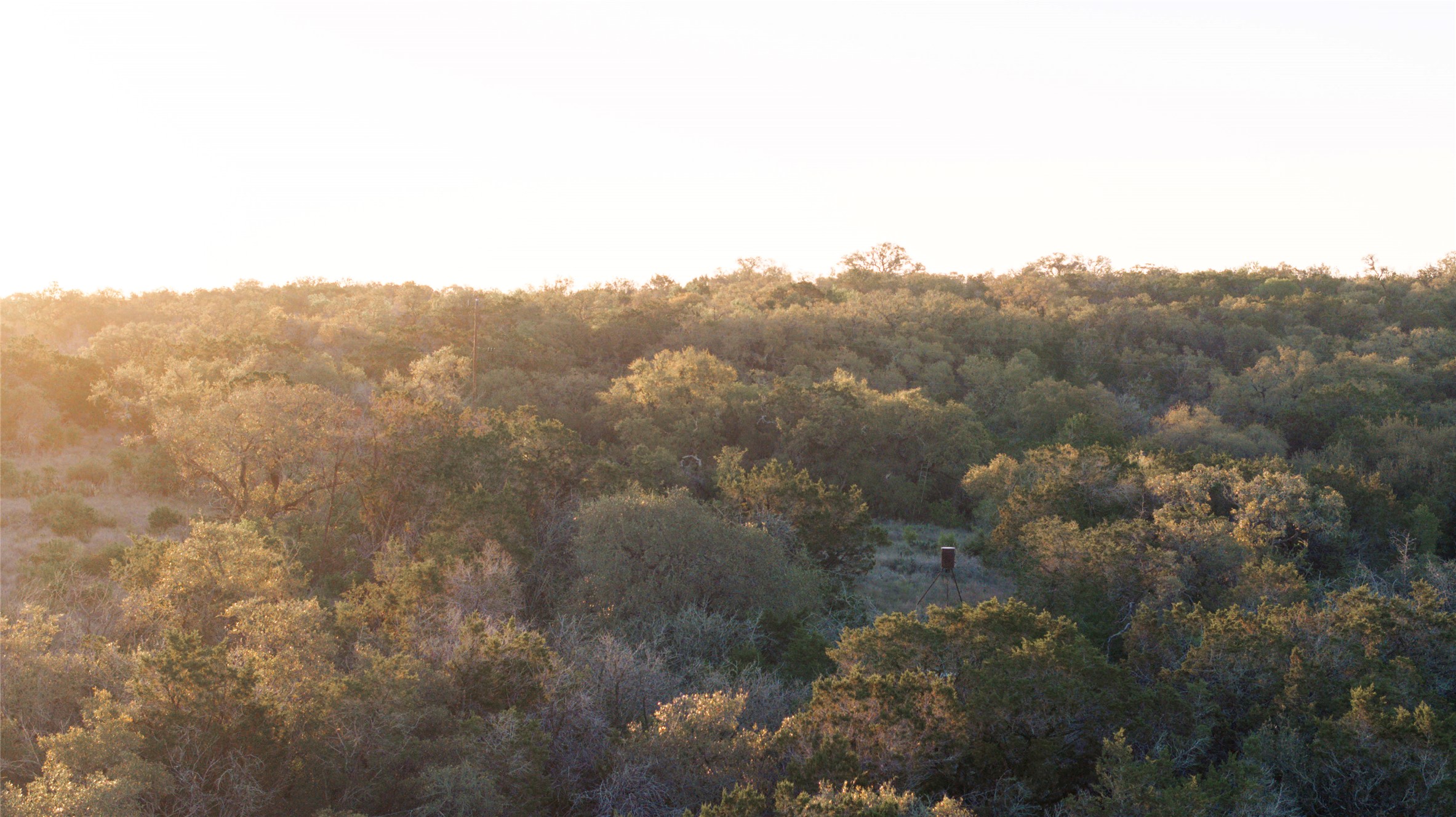 1901 Oak Grove Road San Marcos, TX 78666 - Photo 6 of 16 a view of a city
