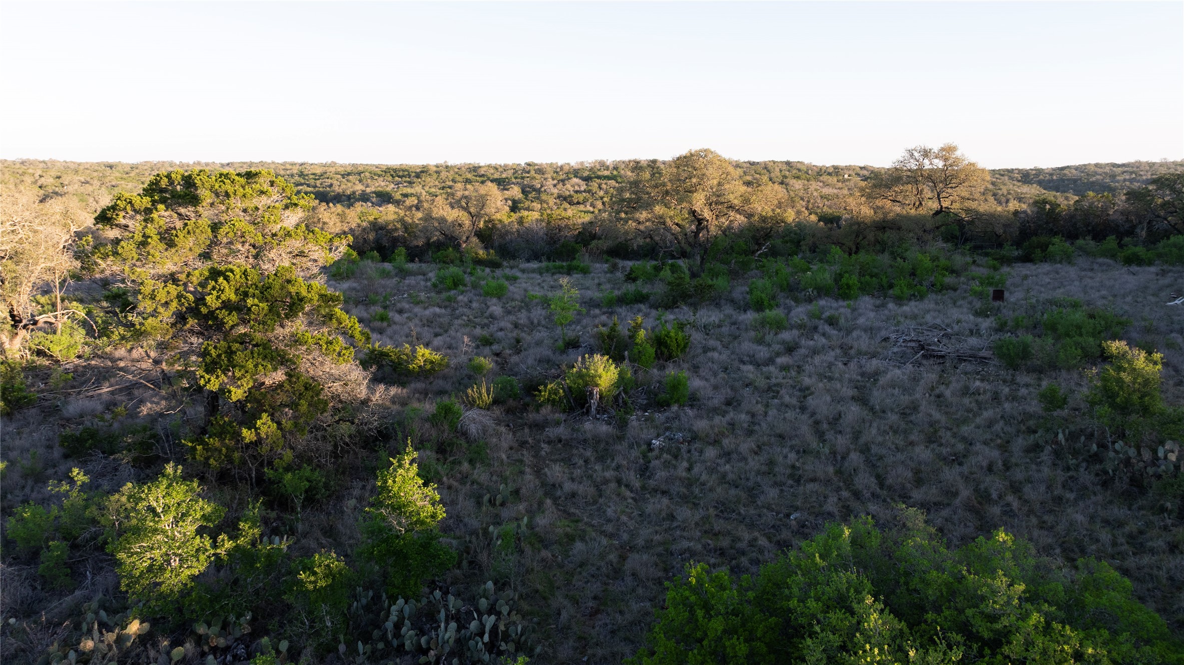 1901 Oak Grove Road San Marcos, TX 78666 - Photo 7 of 16 a view of a forest with a forest