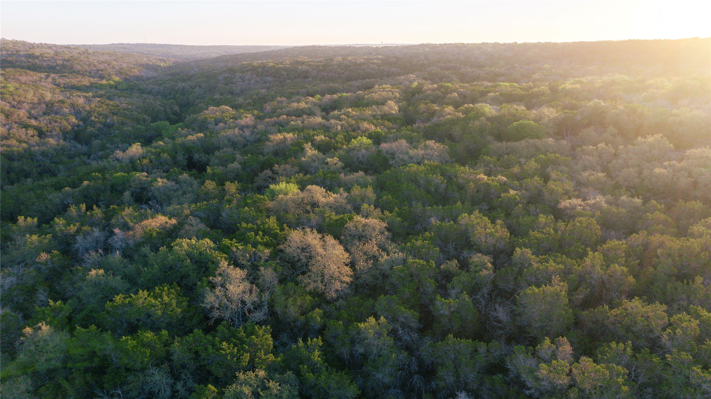 1901 Oak Grove Road San Marcos, TX 78666 - Photo 8 of 16 an aerial view of house with yard and mountain view in back