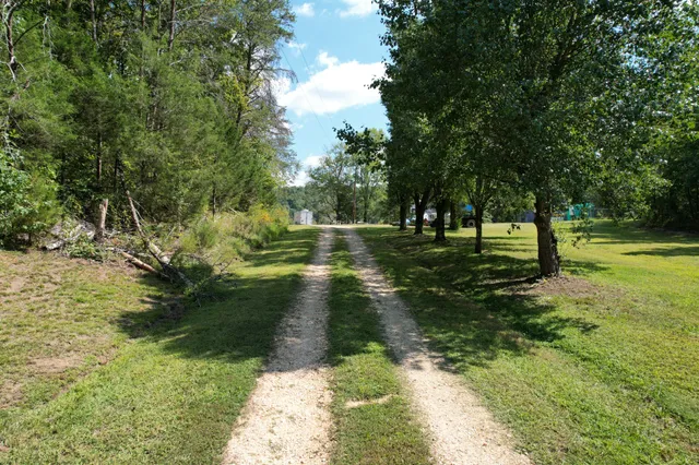 a view of a park with large trees
