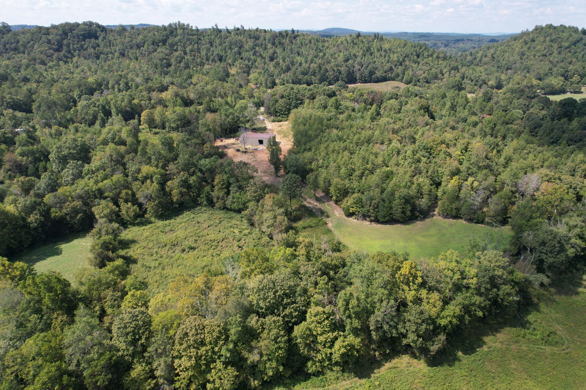 703 Sweetwater Road Philadelphia, TN 37846 - Photo 23 of 34 a view of a forest with a street