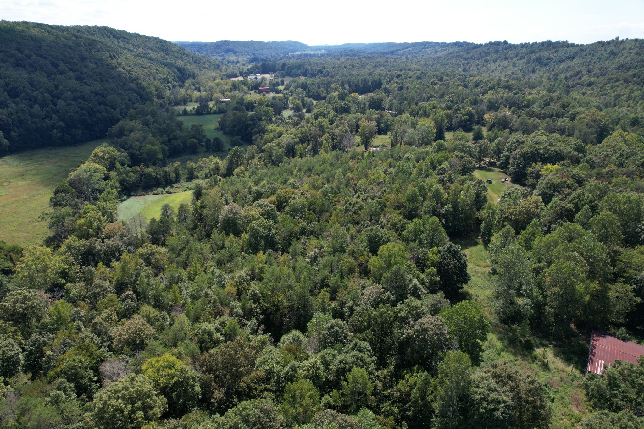 703 Sweetwater Road Philadelphia, TN 37846 - Photo 27 of 34 a view of a forest with a street view