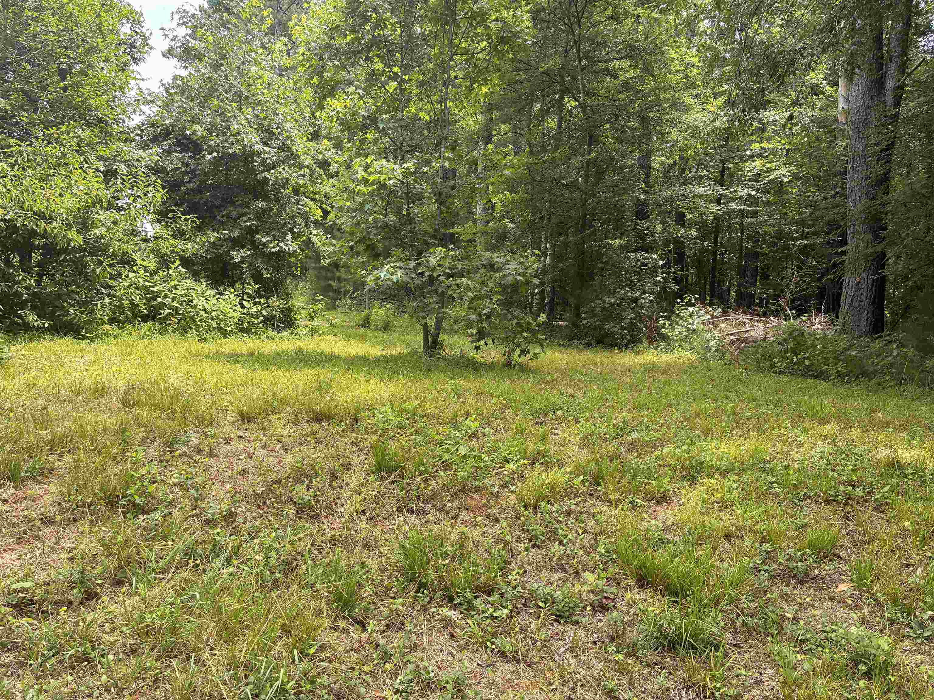Lot 2 State Rd S-11-54 Gaffney, SC 29340 - Photo 4 of 13