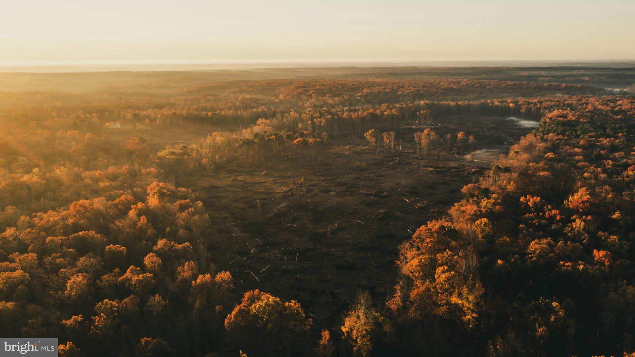 a view of city and ocean