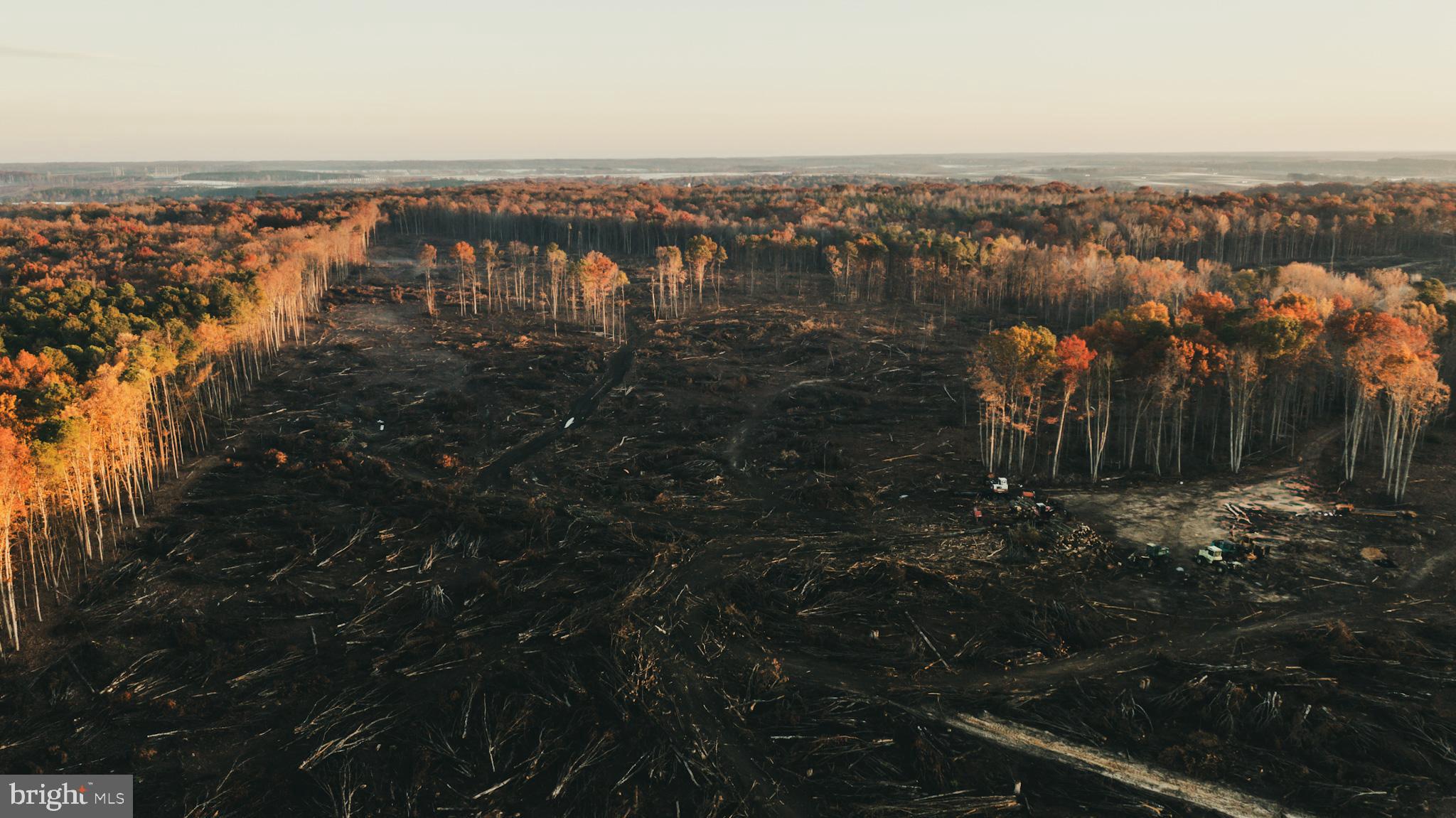 12600 West Catharpin Road Spotsylvania, VA 22551 - Photo 11 of 47 a view of lake