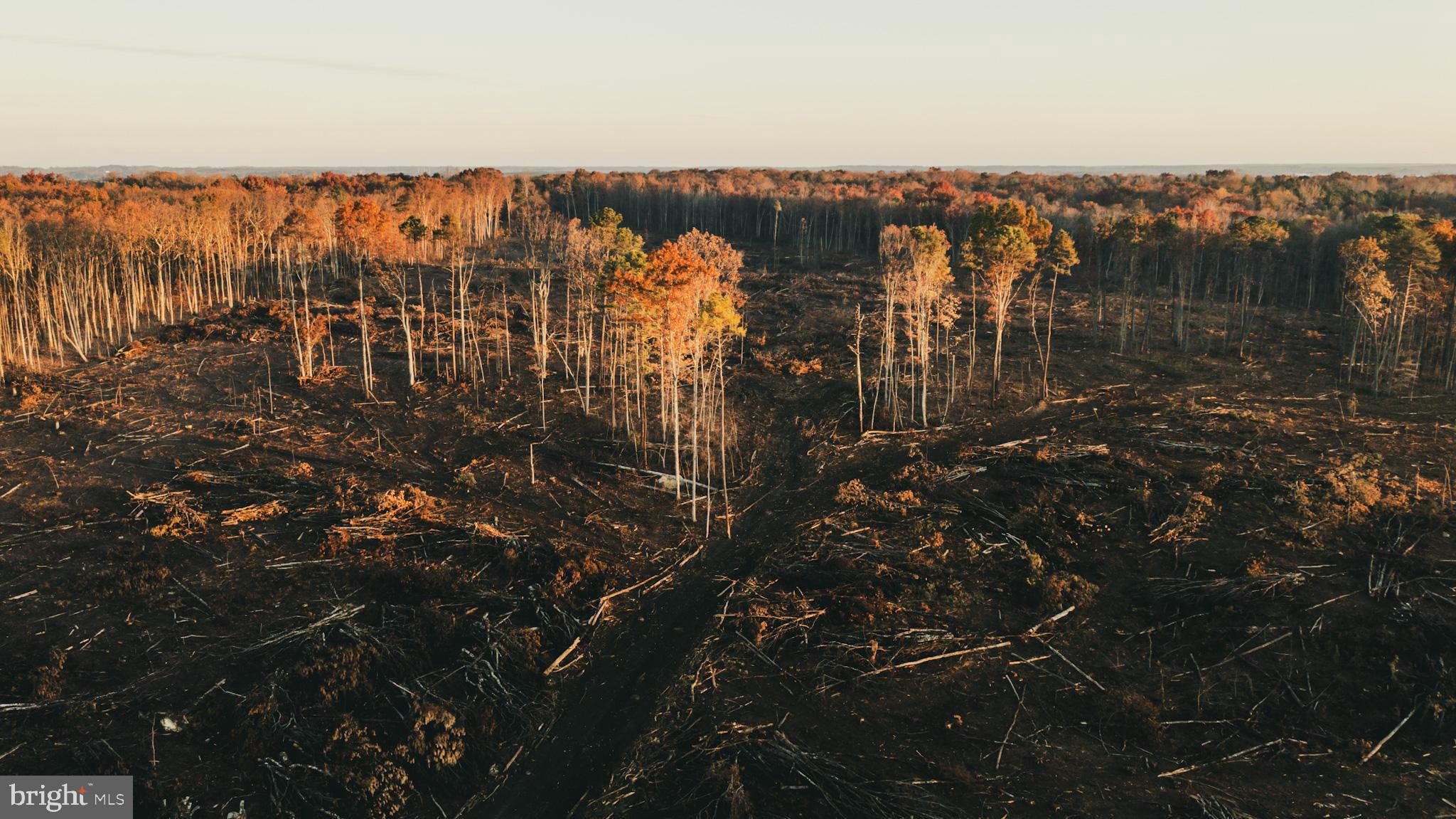 12600 West Catharpin Road Spotsylvania, VA 22551 - Photo 13 of 47 a view of lake