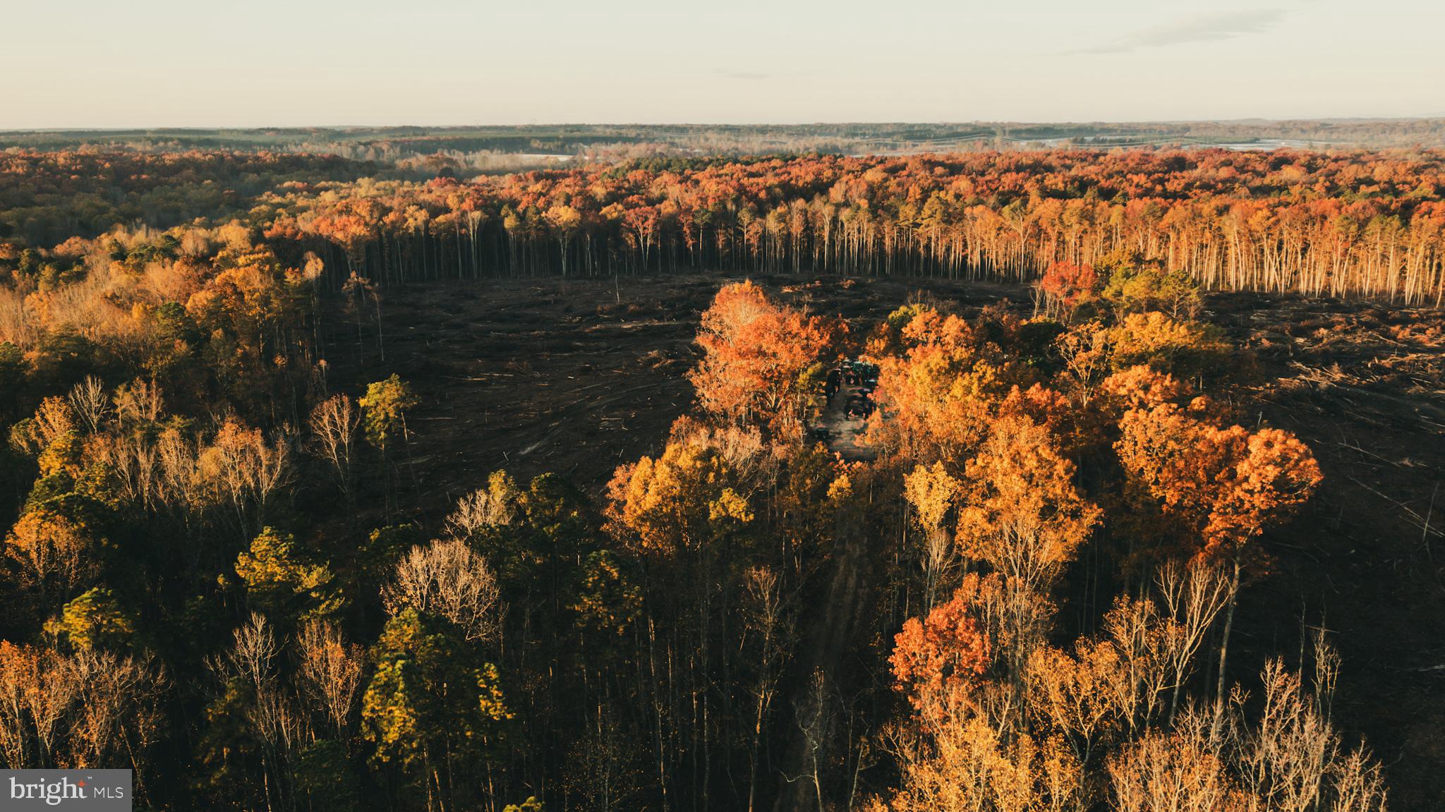 12600 West Catharpin Road Spotsylvania, VA 22551 - Photo 15 of 47 a view of lake