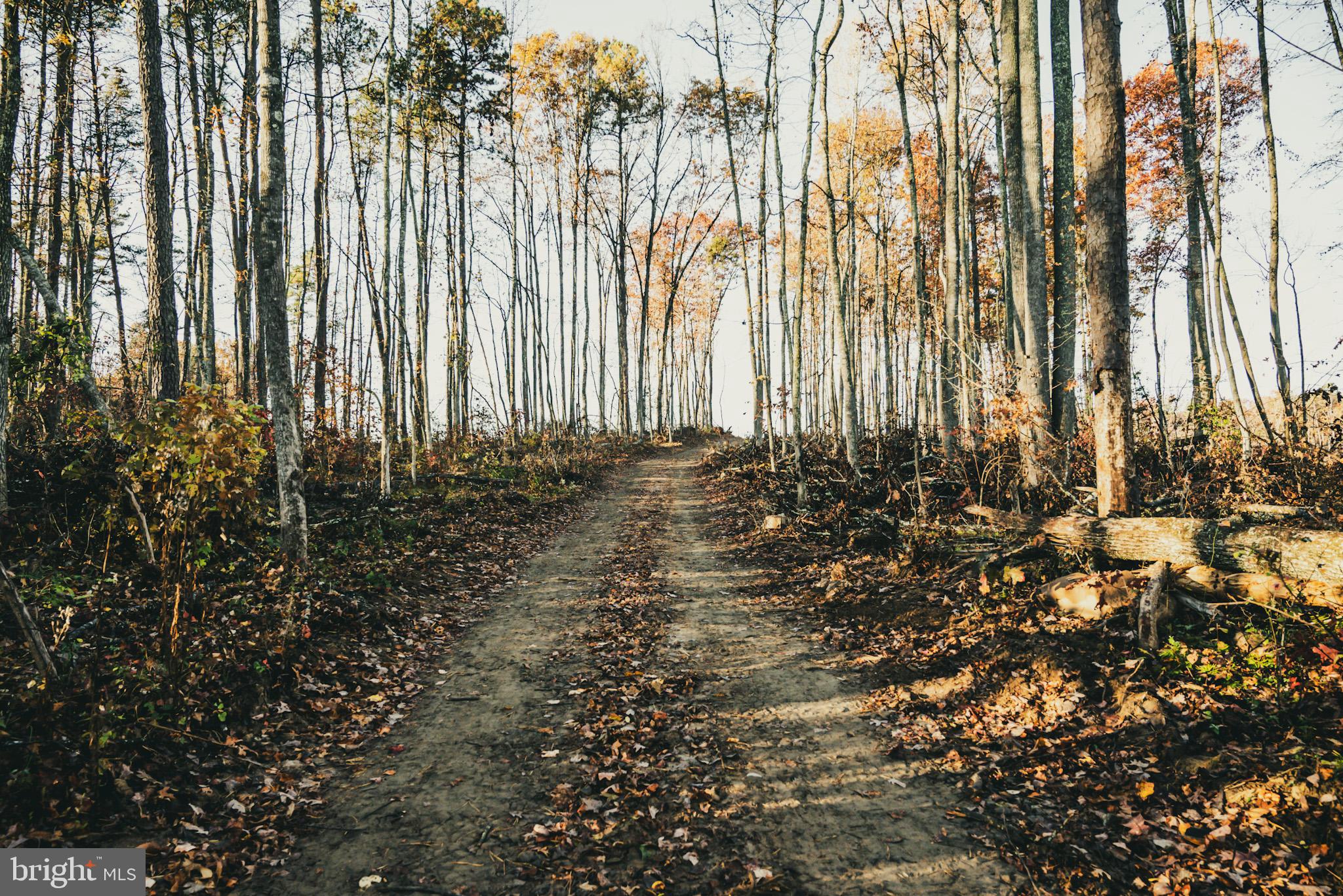 12600 West Catharpin Road Spotsylvania, VA 22551 - Photo 18 of 47 a view of a backyard of the house