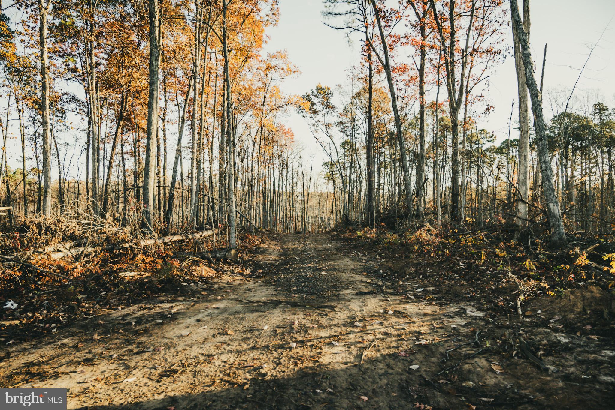 12600 West Catharpin Road Spotsylvania, VA 22551 - Photo 19 of 47 a view of a backyard of the house