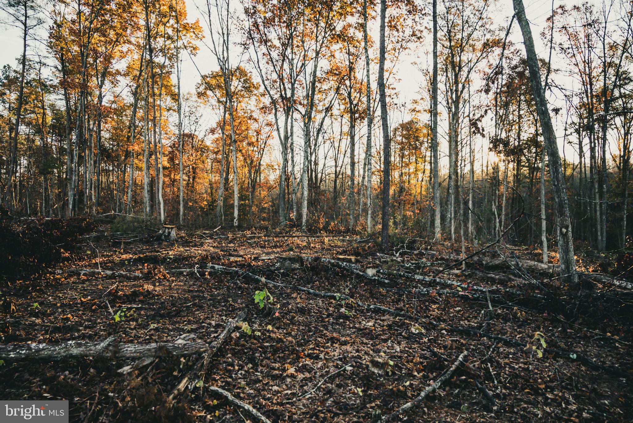 12600 West Catharpin Road Spotsylvania, VA 22551 - Photo 20 of 47 a view of outdoor space with lots of trees