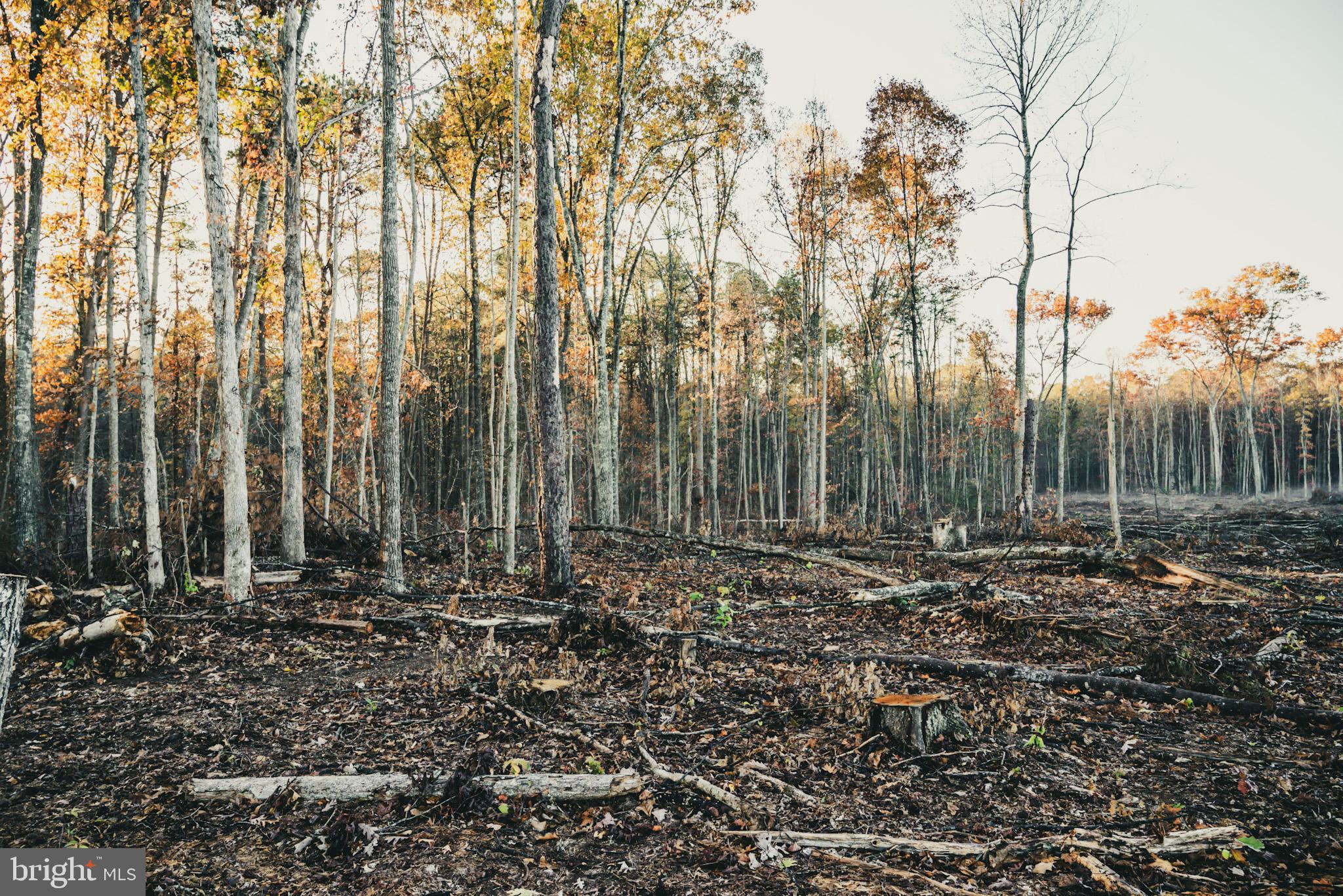 12600 West Catharpin Road Spotsylvania, VA 22551 - Photo 21 of 47 a view of outdoor space with green space