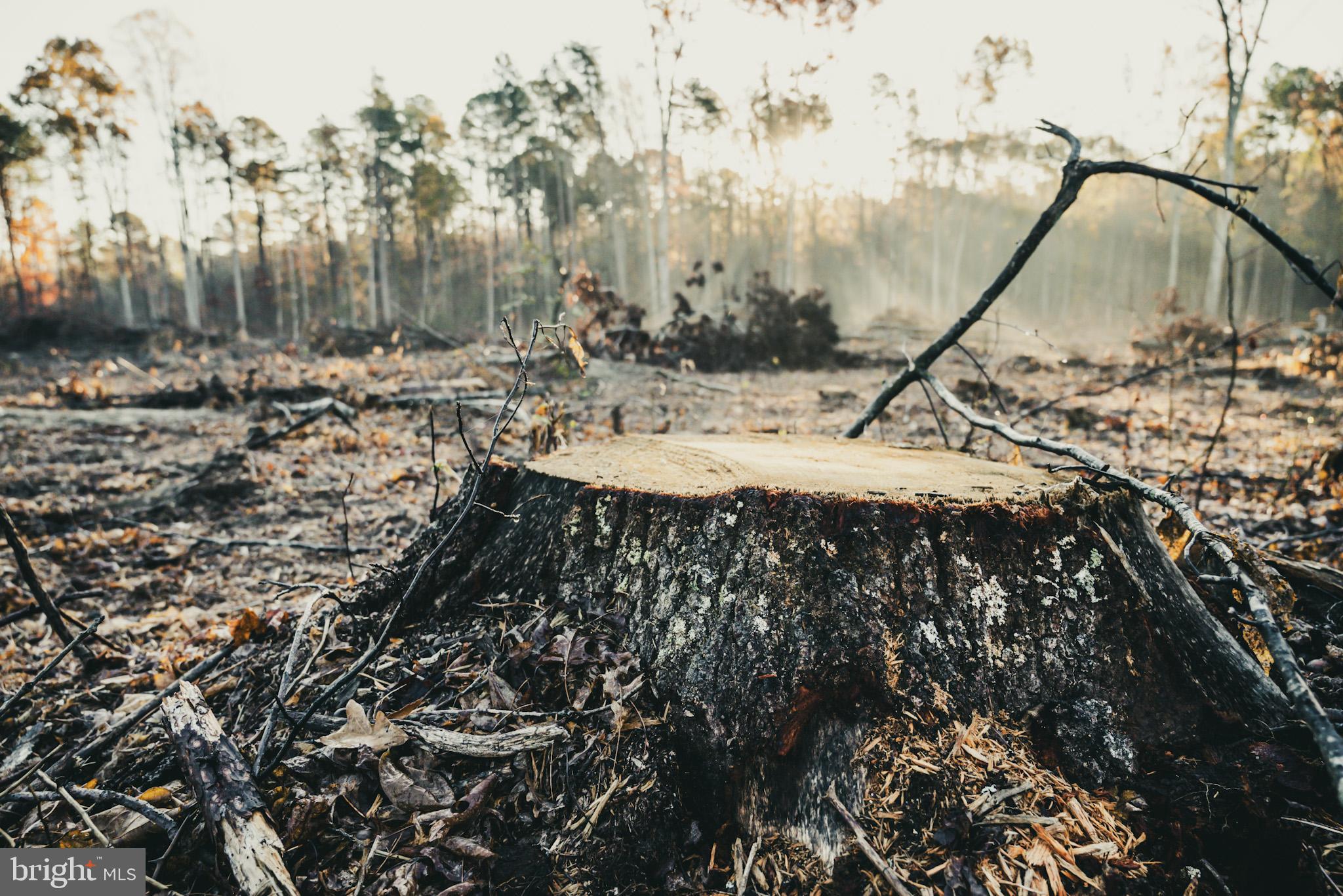 12600 West Catharpin Road Spotsylvania, VA 22551 - Photo 30 of 47 a view of a backyard of the house