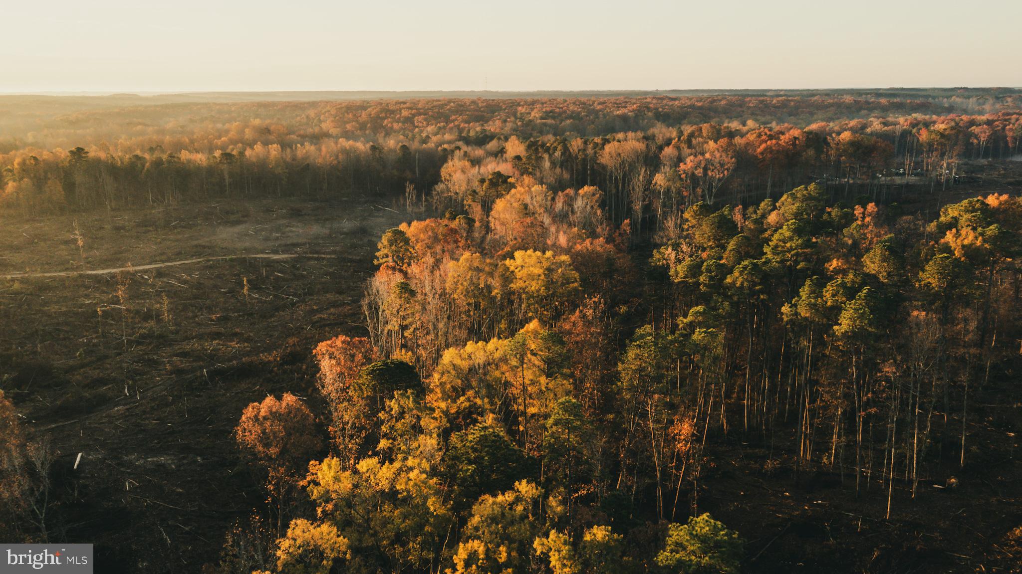 12600 West Catharpin Road Spotsylvania, VA 22551 - Photo 3 of 47 a view of lake