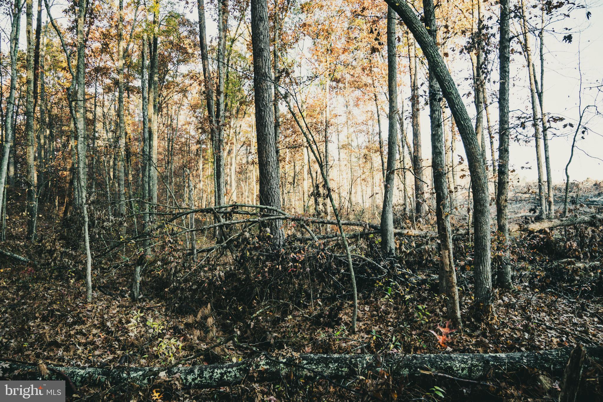 12600 West Catharpin Road Spotsylvania, VA 22551 - Photo 31 of 47 a view of outdoor space and garden