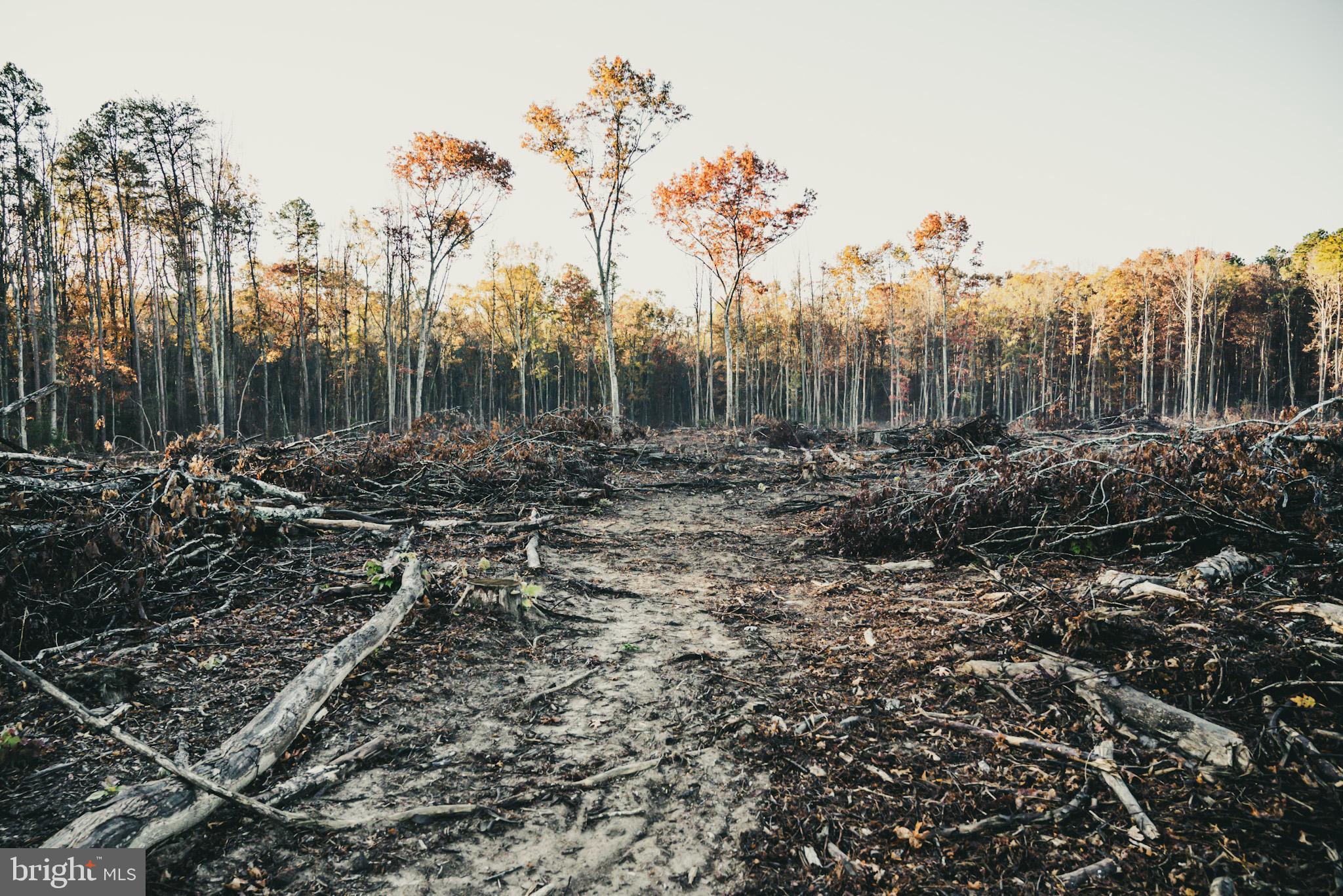 12600 West Catharpin Road Spotsylvania, VA 22551 - Photo 36 of 47 a view of a backyard of the house