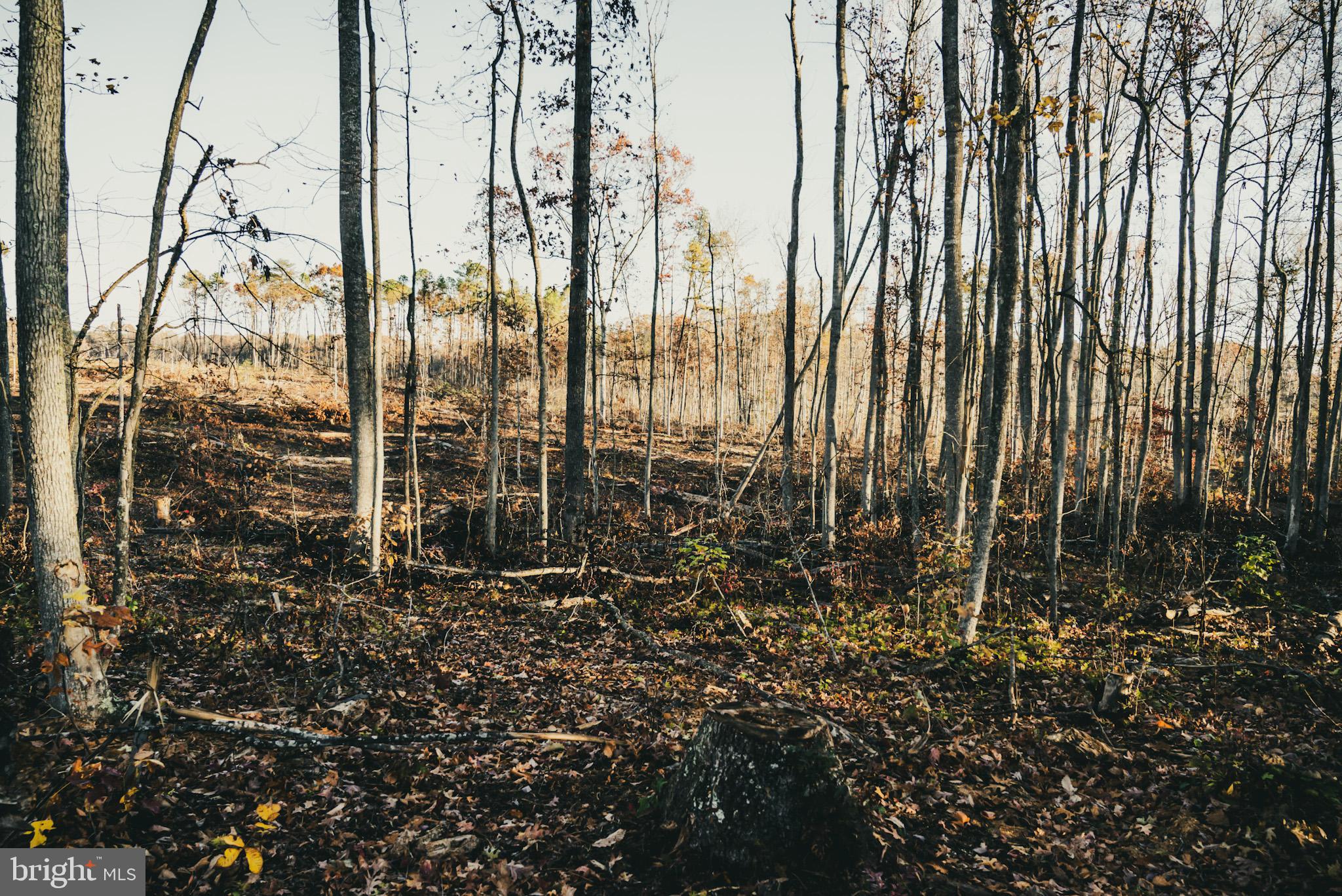 12600 West Catharpin Road Spotsylvania, VA 22551 - Photo 37 of 47 a view of outdoor space with garden