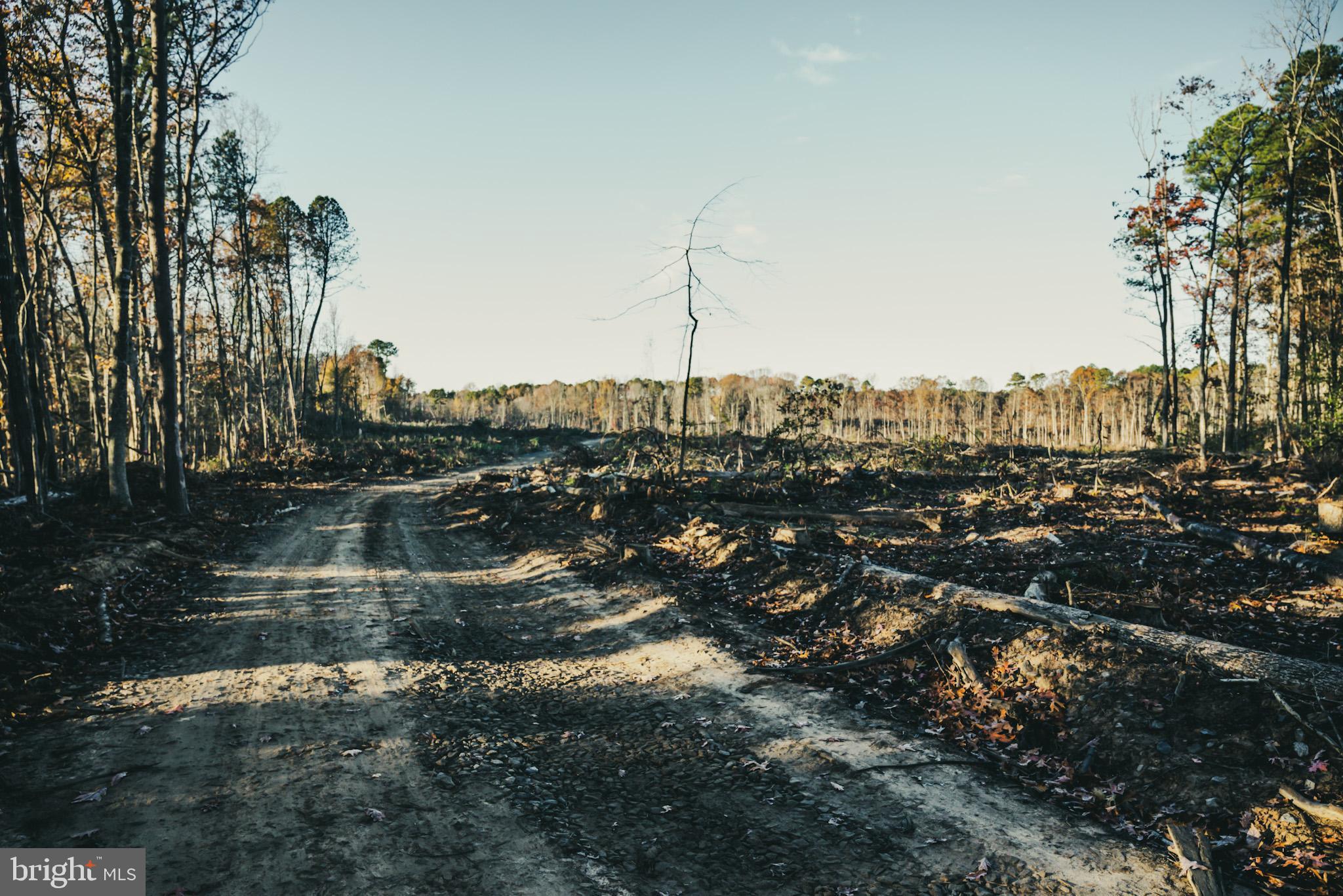 12600 West Catharpin Road Spotsylvania, VA 22551 - Photo 38 of 47 a view of lake