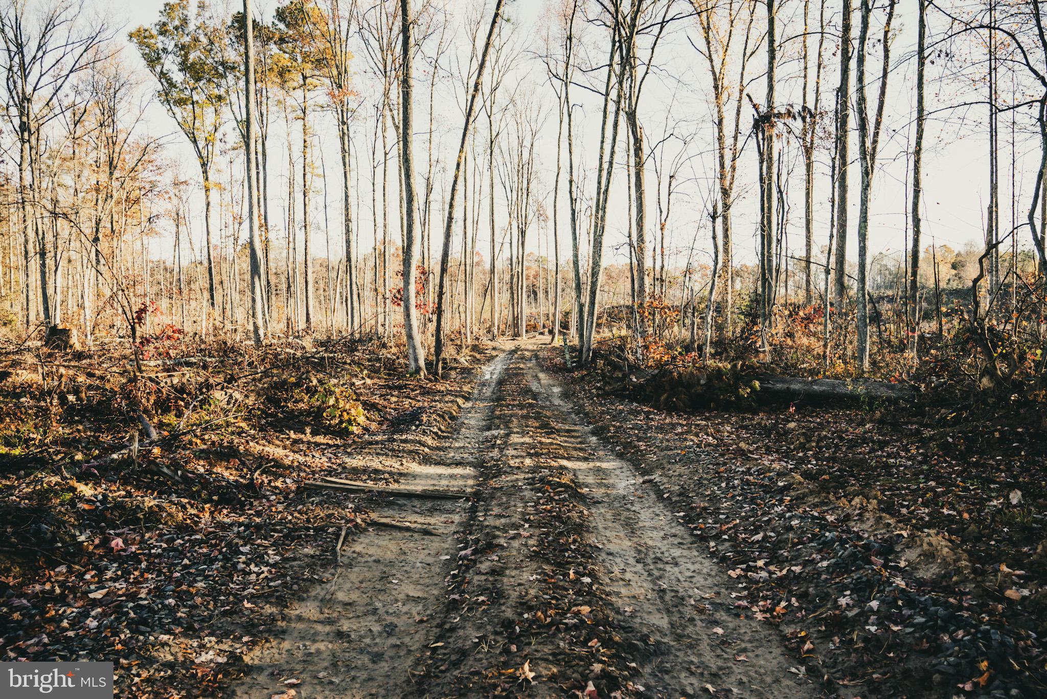 12600 West Catharpin Road Spotsylvania, VA 22551 - Photo 40 of 47 a view of a yard with sitting area