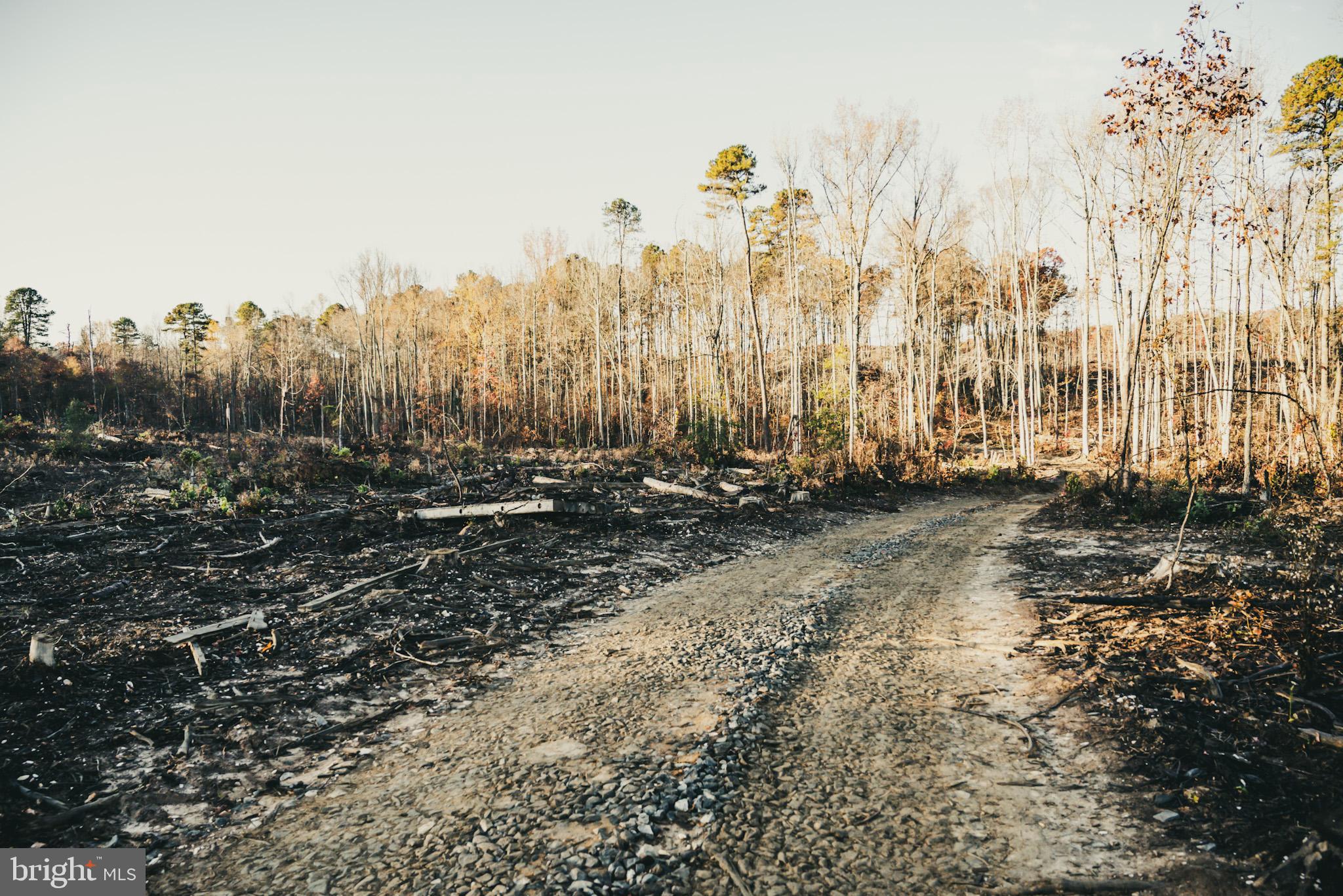 12600 West Catharpin Road Spotsylvania, VA 22551 - Photo 42 of 47 a view of outdoor space with city view