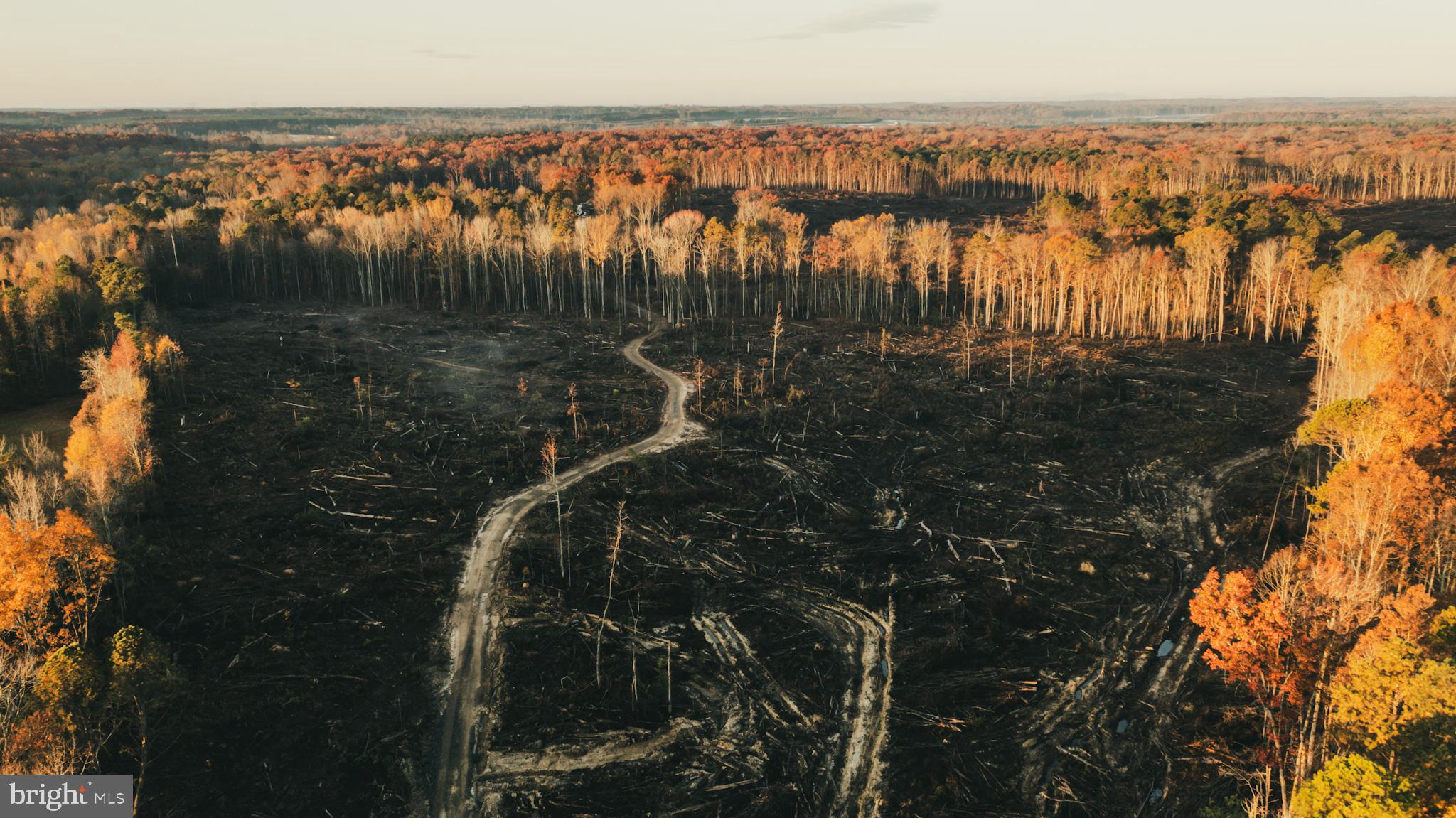 12600 West Catharpin Road Spotsylvania, VA 22551 - Photo 5 of 47 a view of a lake