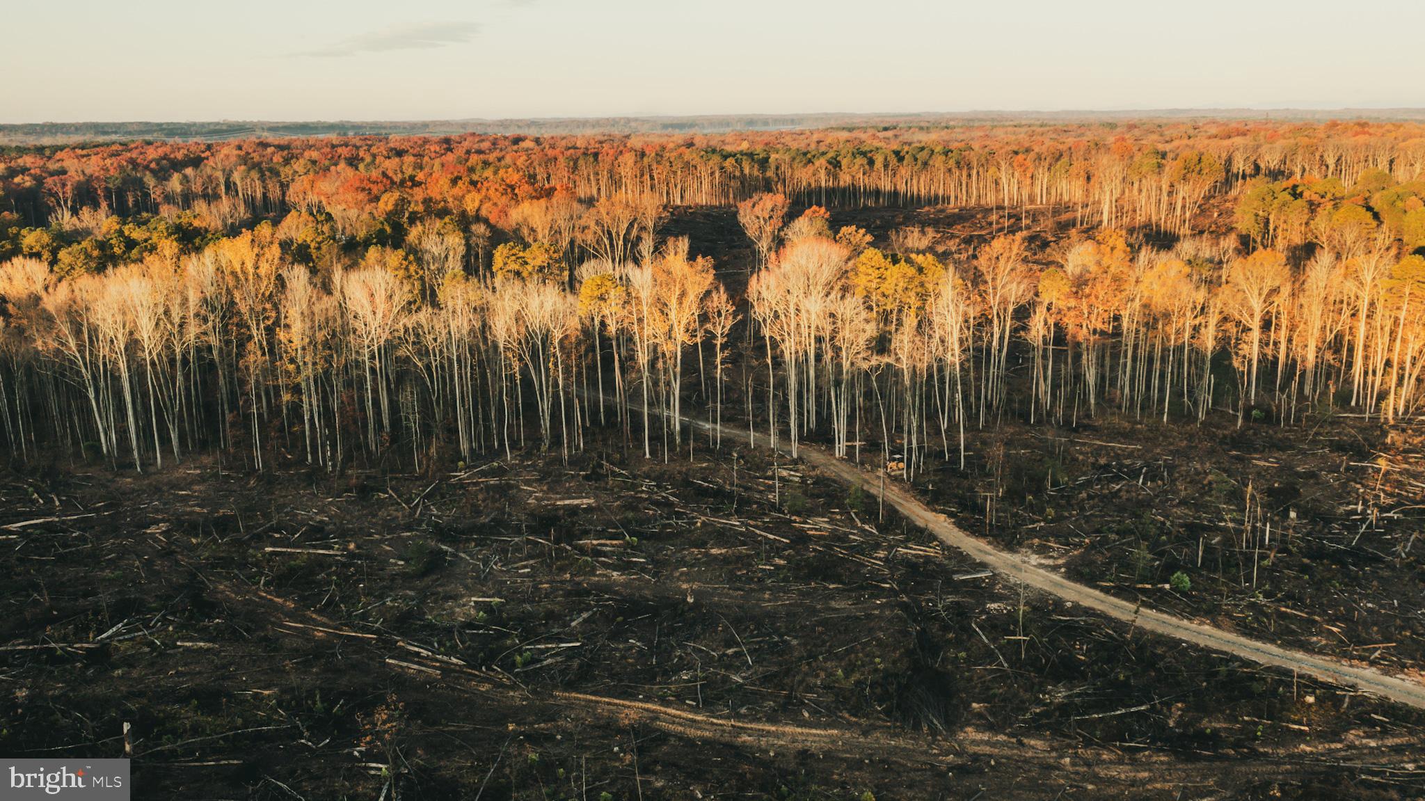 12600 West Catharpin Road Spotsylvania, VA 22551 - Photo 7 of 47 a view of residential area with yard