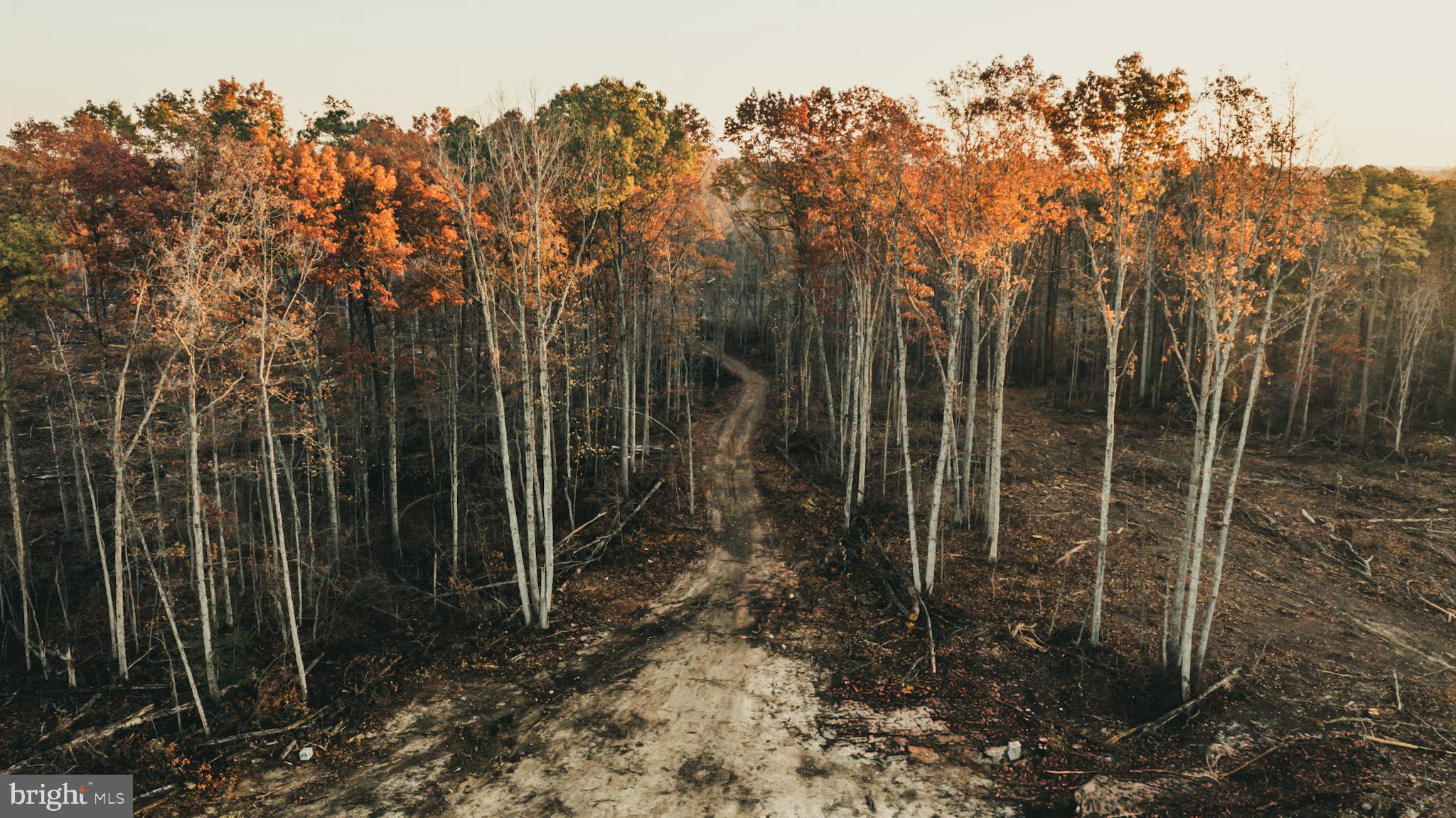 12600 West Catharpin Road Spotsylvania, VA 22551 - Photo 8 of 47 a view of a room with trees in the background
