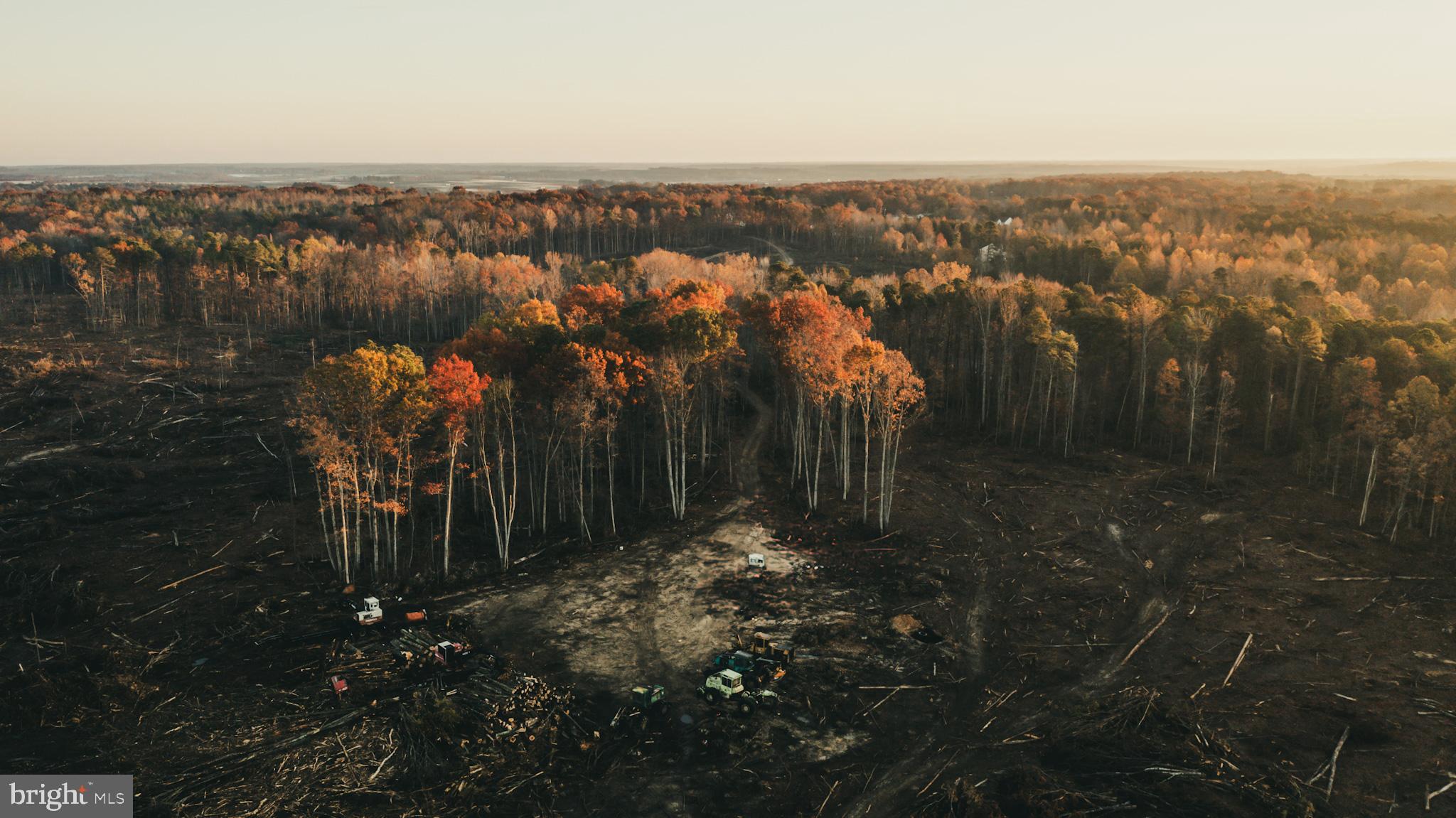 12600 West Catharpin Road Spotsylvania, VA 22551 - Photo 9 of 47