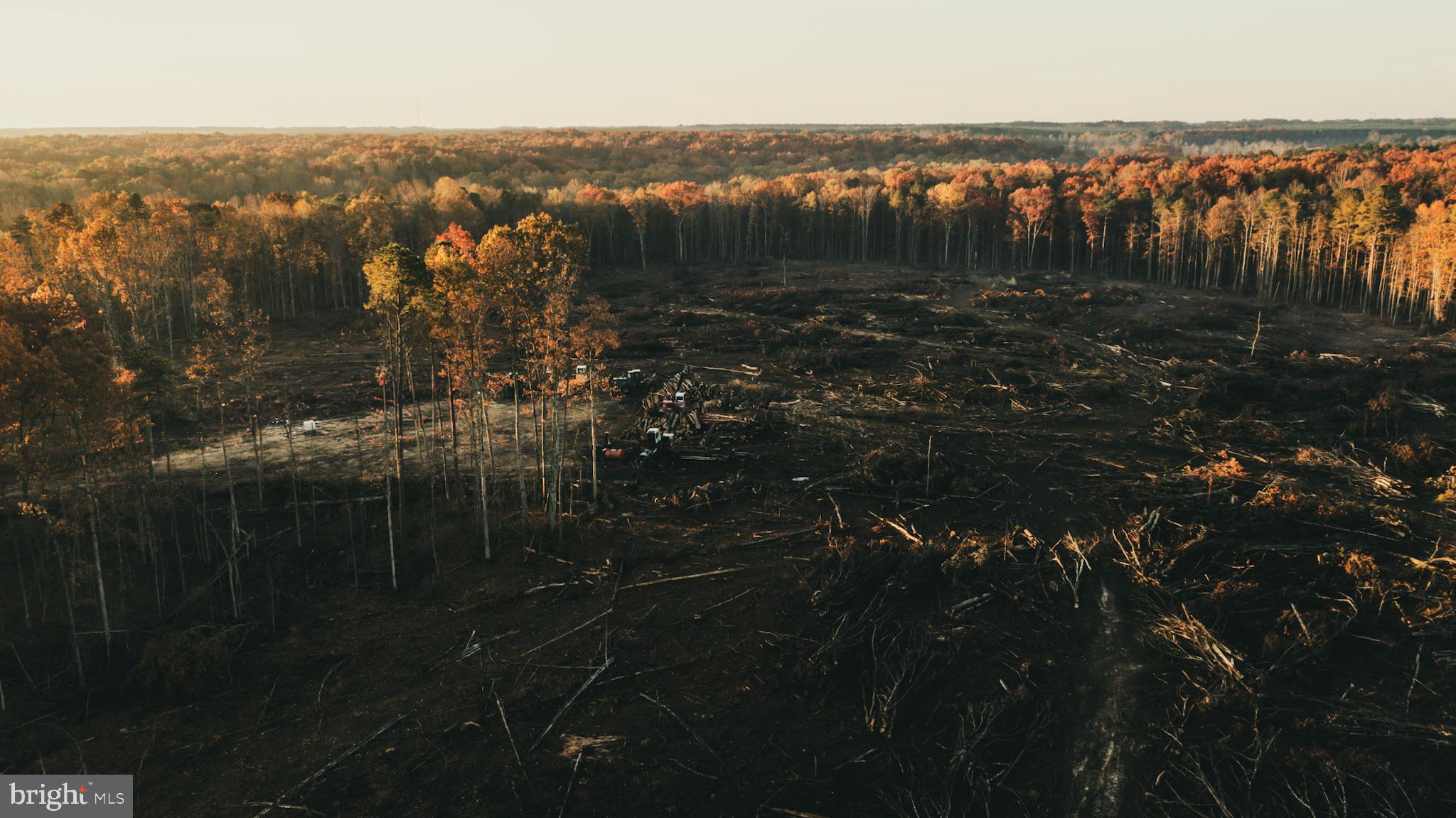 12600 West Catharpin Road Spotsylvania, VA 22551 - Photo 10 of 47 a view of lake