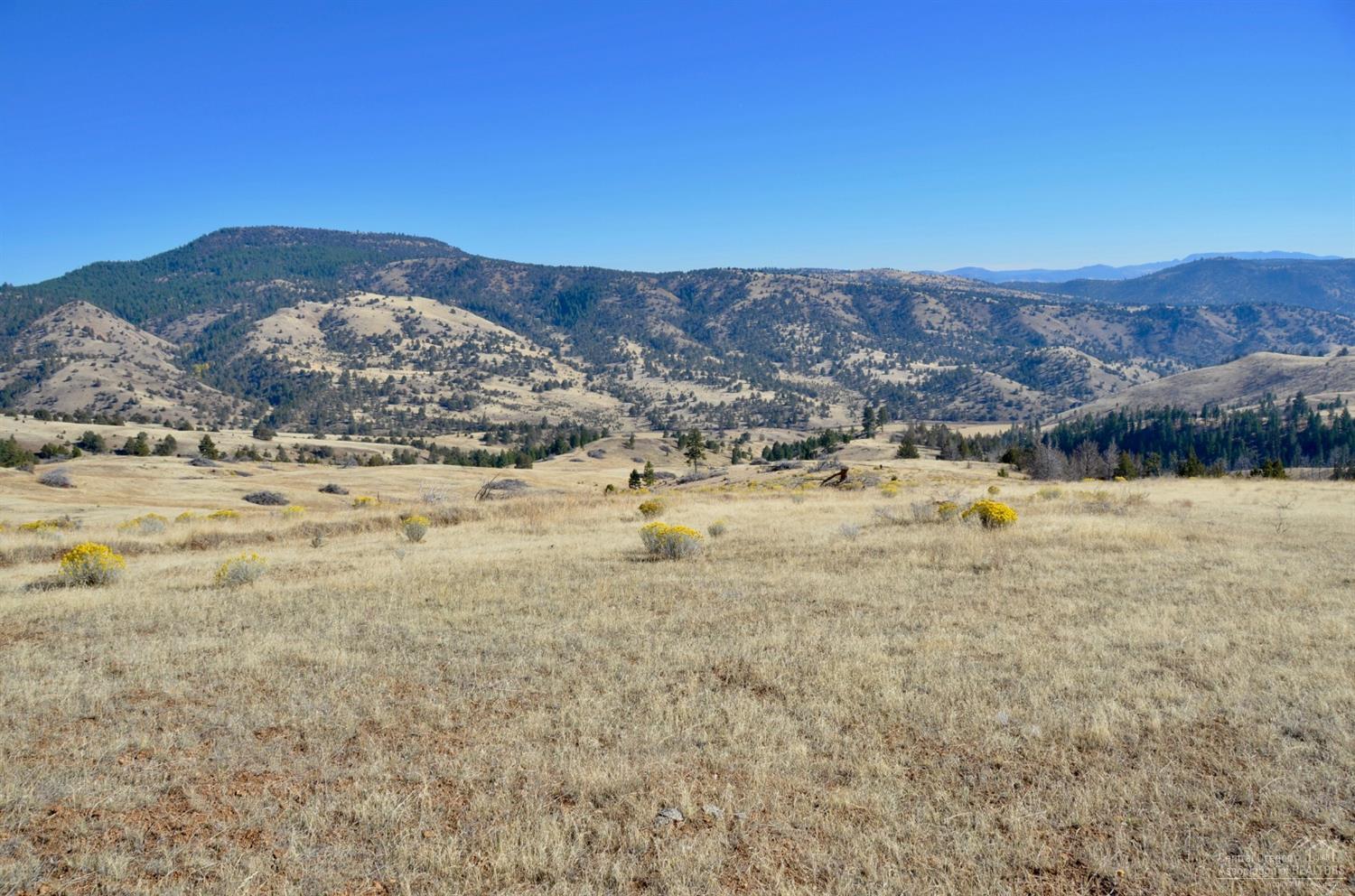 0 Rowe Creek Road Fossil, OR 97830 - Photo 3 of 12 Additional Photo