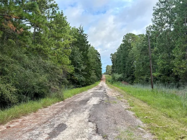 $9,900 | Tbd Parkview Drive, Onalaska, TX 77360