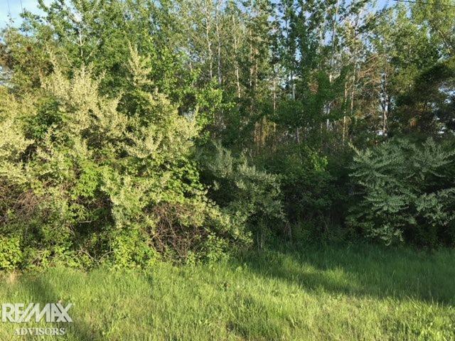 0 Columbine Road Harsens Island, MI 48028 - Photo 3 of 11