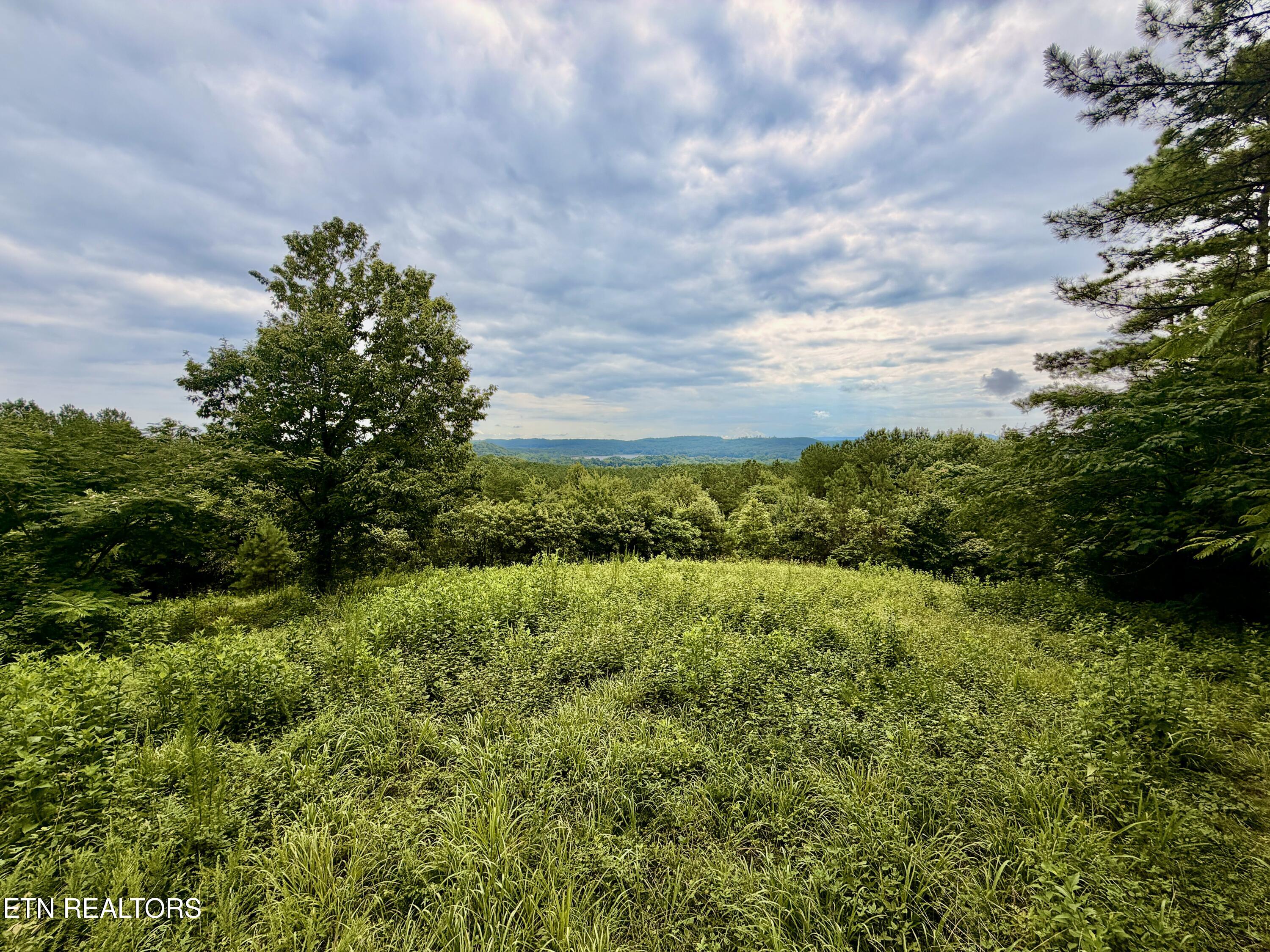 Northwest Eads Bluff Road Northwest Georgetown, TN 37336 - Photo 23 of 36 23