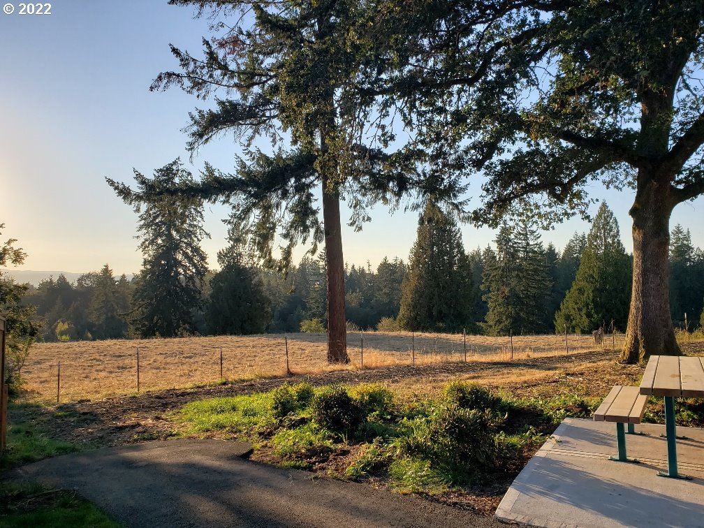 240 Northeast 28th Court Ridgefield, WA 98642 - Photo 32 of 32 a view of a park with large trees