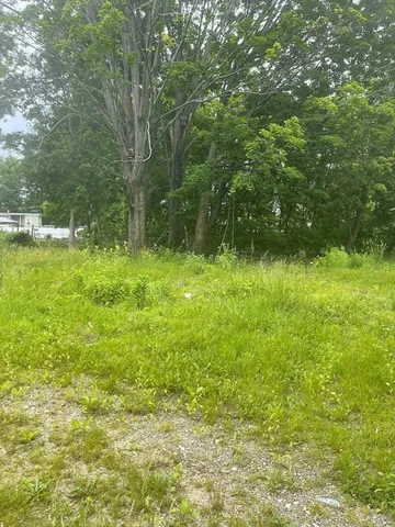 a view of yard with green space