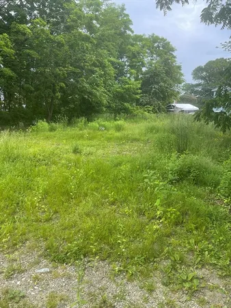 a view of outdoor space and yard