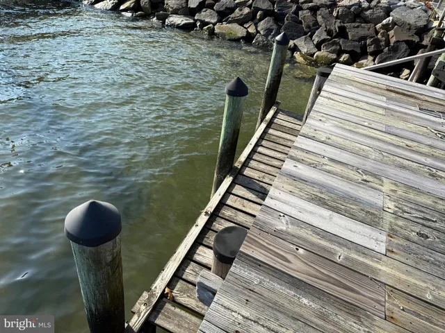 a view of a yard with cars parked on the roadside