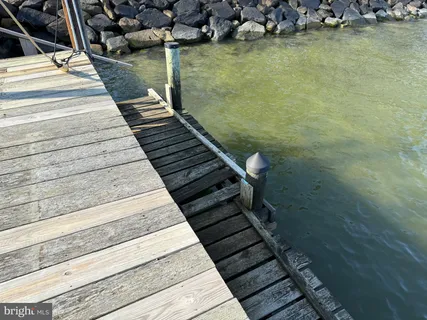 a view of a yard with large trees