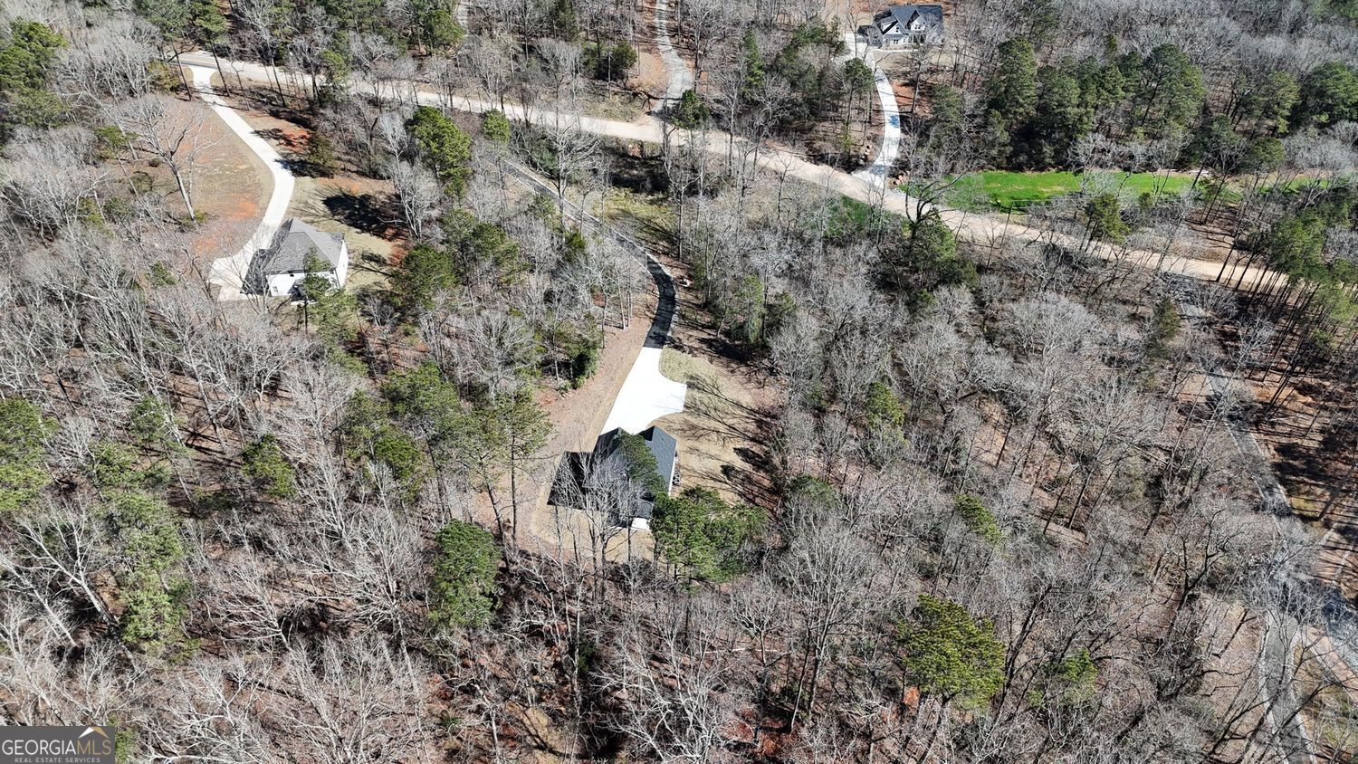 1578 English Road Forsyth, GA 31029 - Photo 37 of 39 a view of a forest with a tree