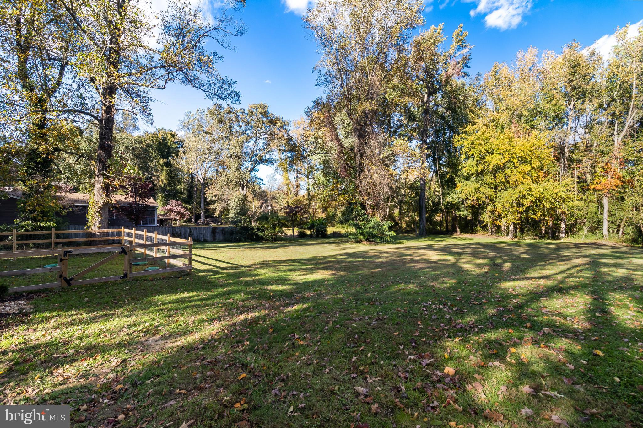 24440 Morgan Road Hollywood, MD 20636 - Photo 38 of 38 Serene wooded lot with vibrant autumn hues.