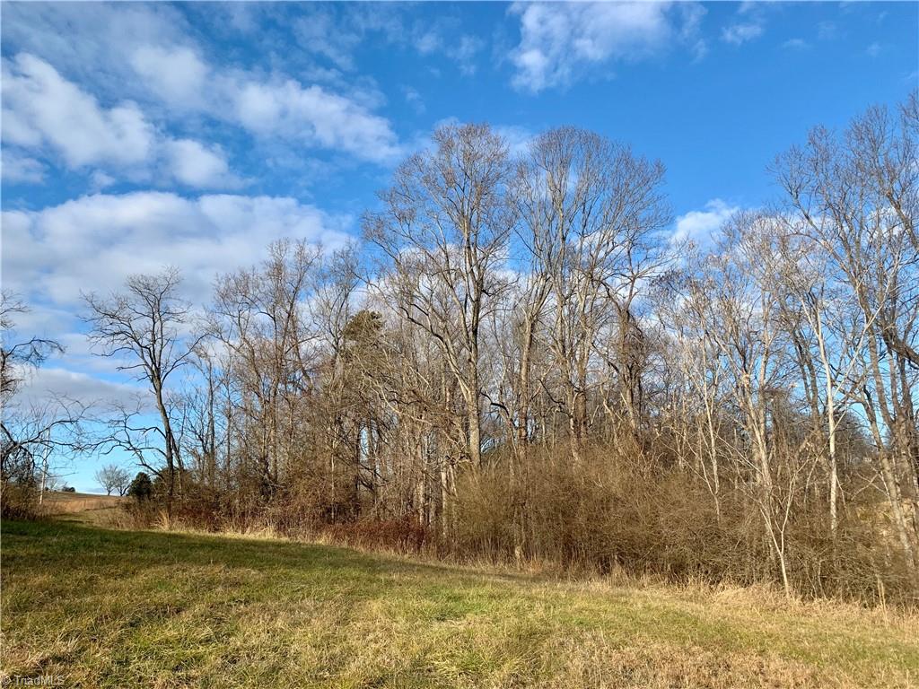 1510 Lackey Road Danbury, NC 27016 - Photo 5 of 14 Gallery Image 5