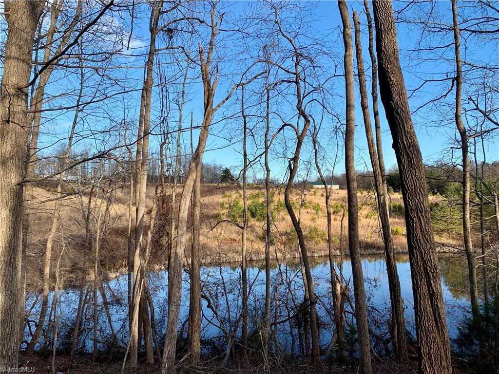 1510 Lackey Road Danbury, NC 27016 - Photo 7 of 14 Gallery Image 7