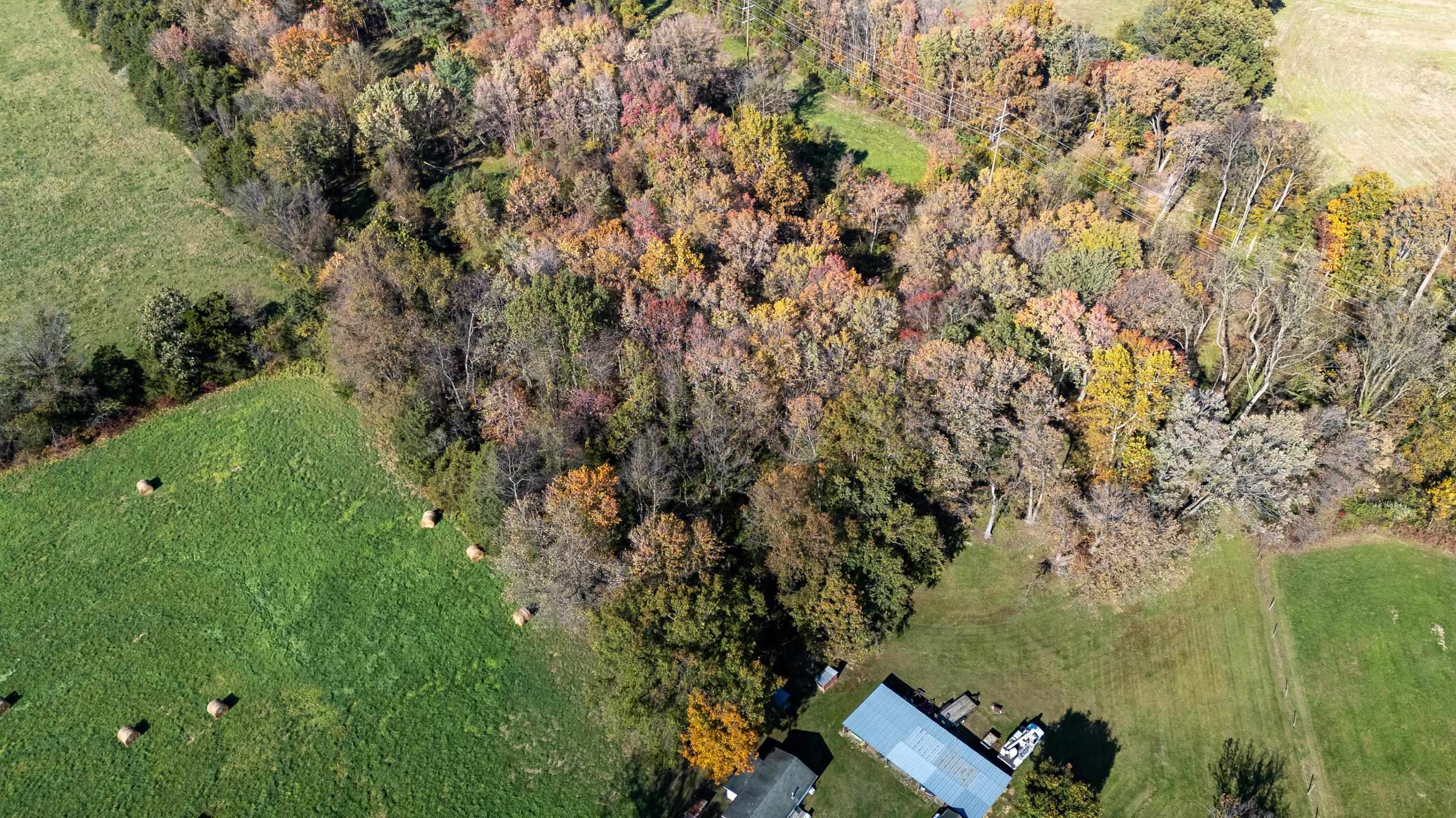 0 Dry Run Road Luray, VA 22835 - Photo 26 of 73