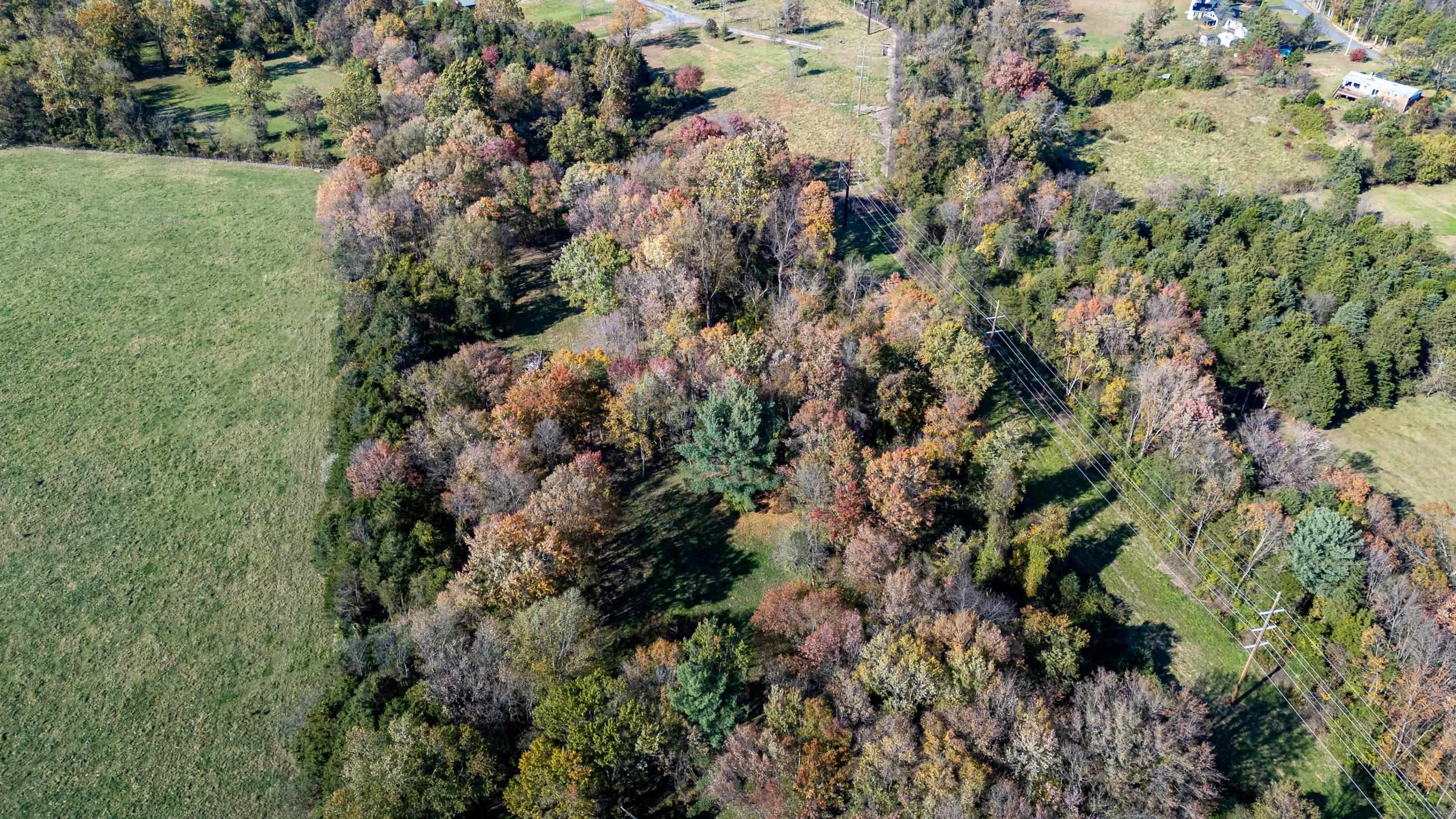 0 Dry Run Road Luray, VA 22835 - Photo 28 of 73 a view of a forest with a tree