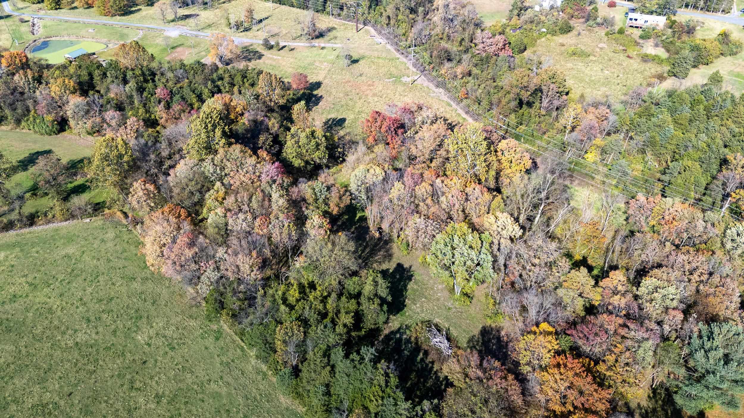 0 Dry Run Road Luray, VA 22835 - Photo 29 of 73