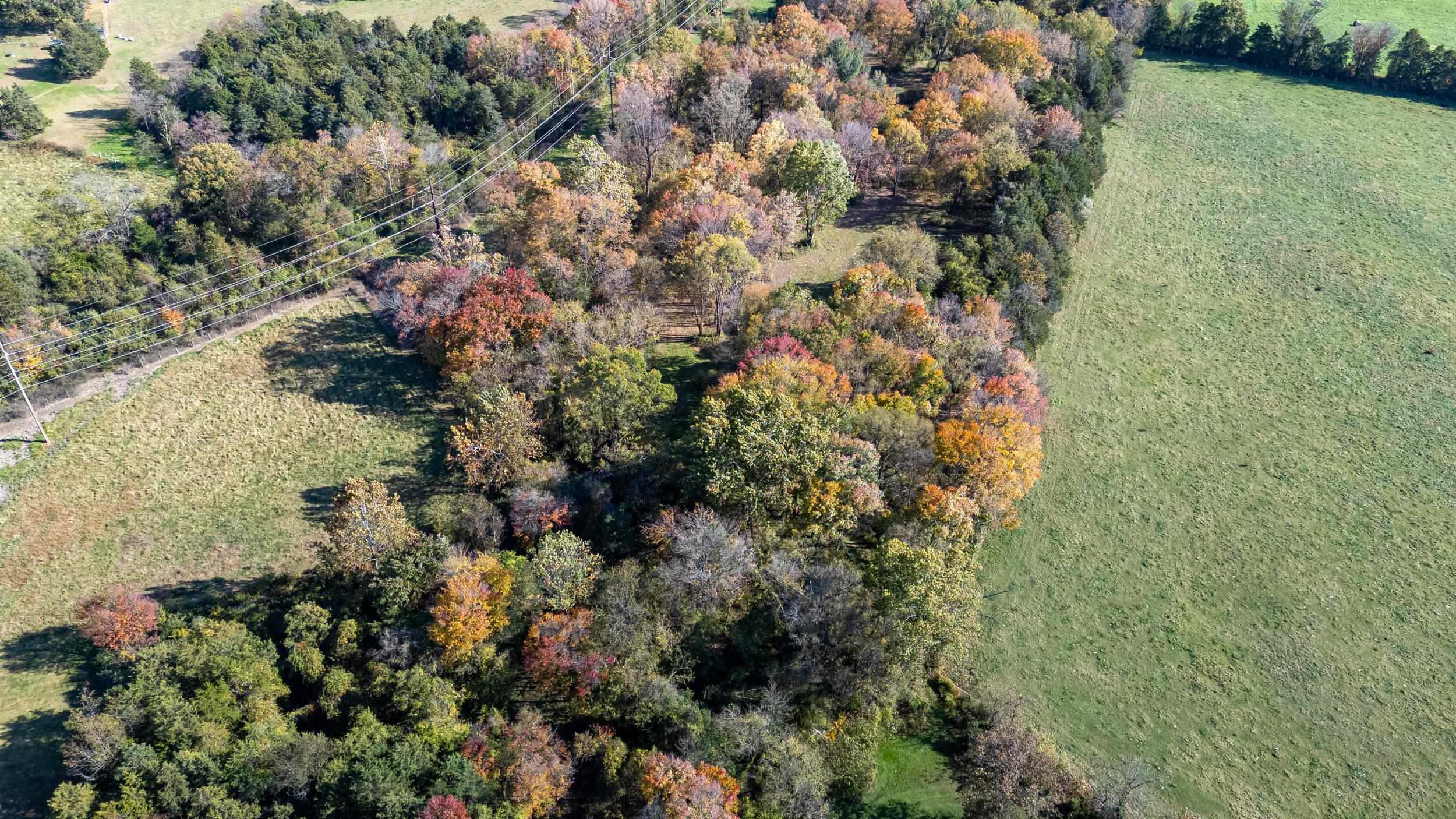 0 Dry Run Road Luray, VA 22835 - Photo 30 of 73