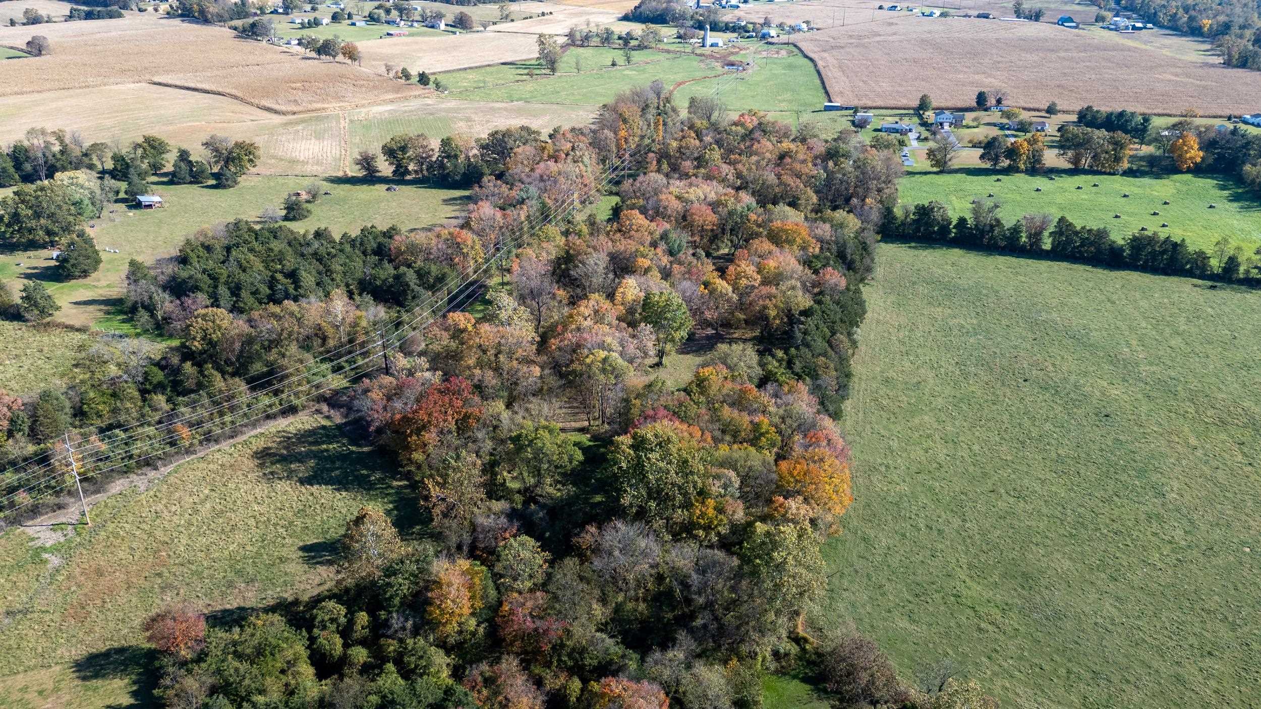 0 Dry Run Road Luray, VA 22835 - Photo 31 of 73
